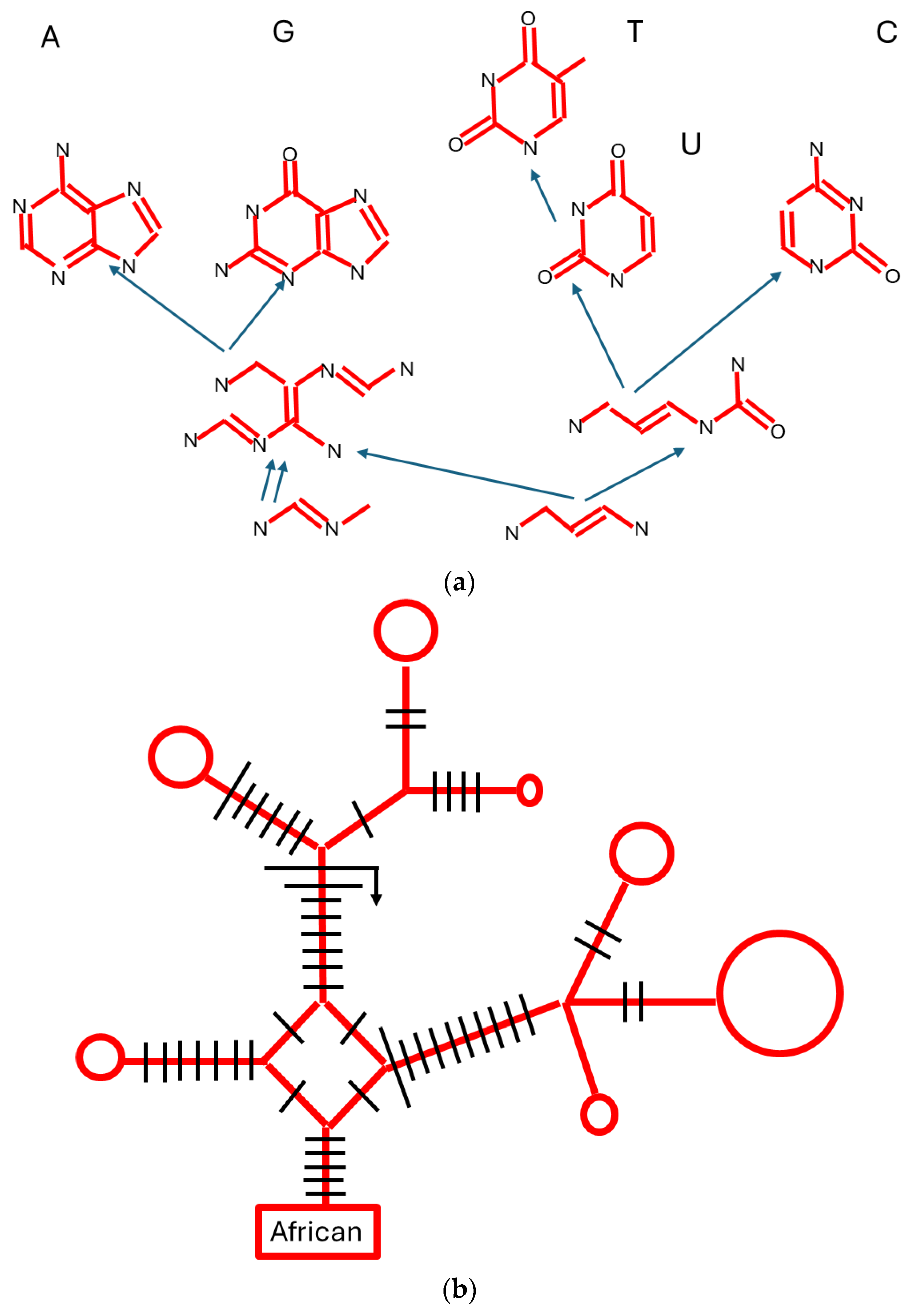 Biology 13 00507 g002