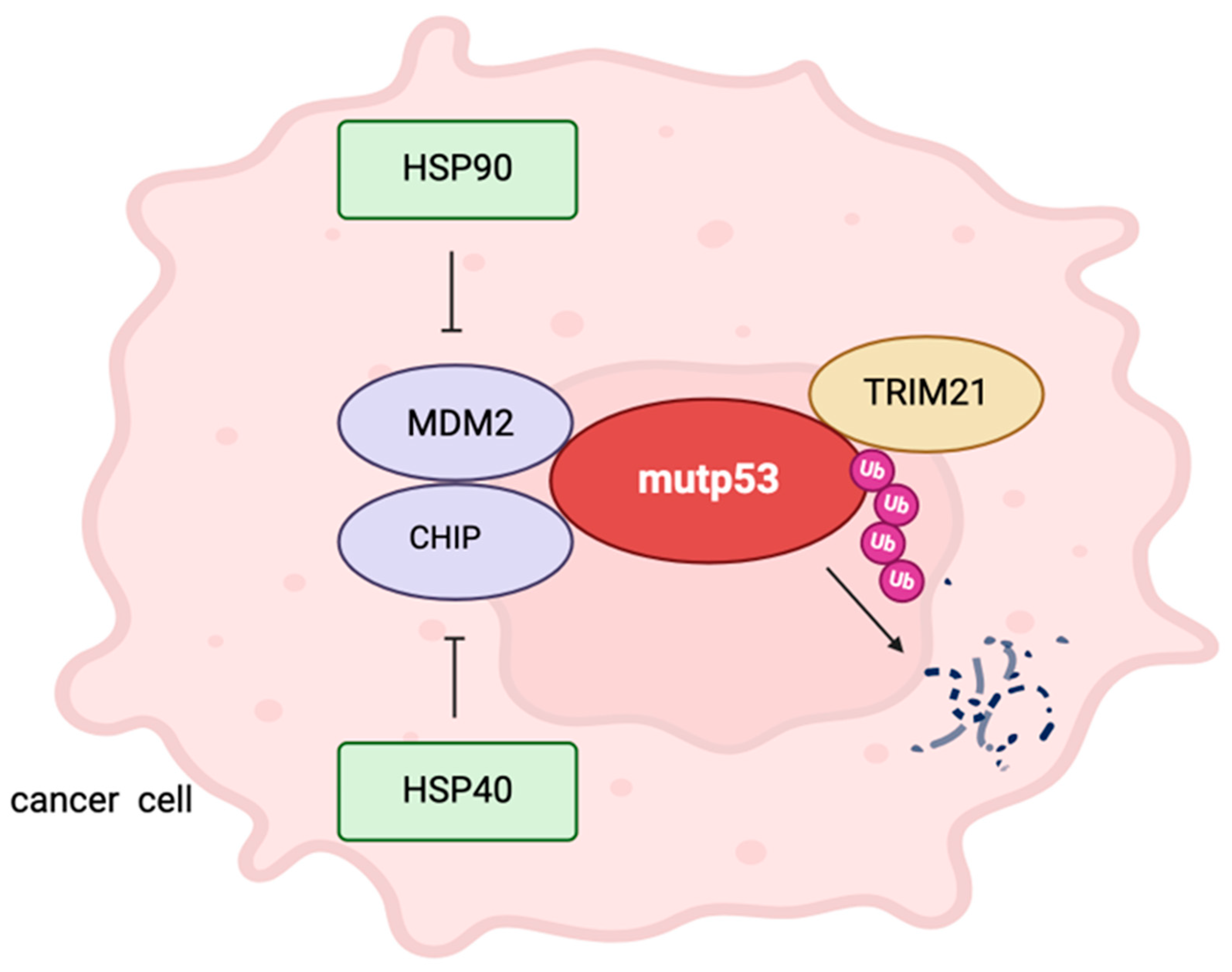 Biology 13 00508 g001