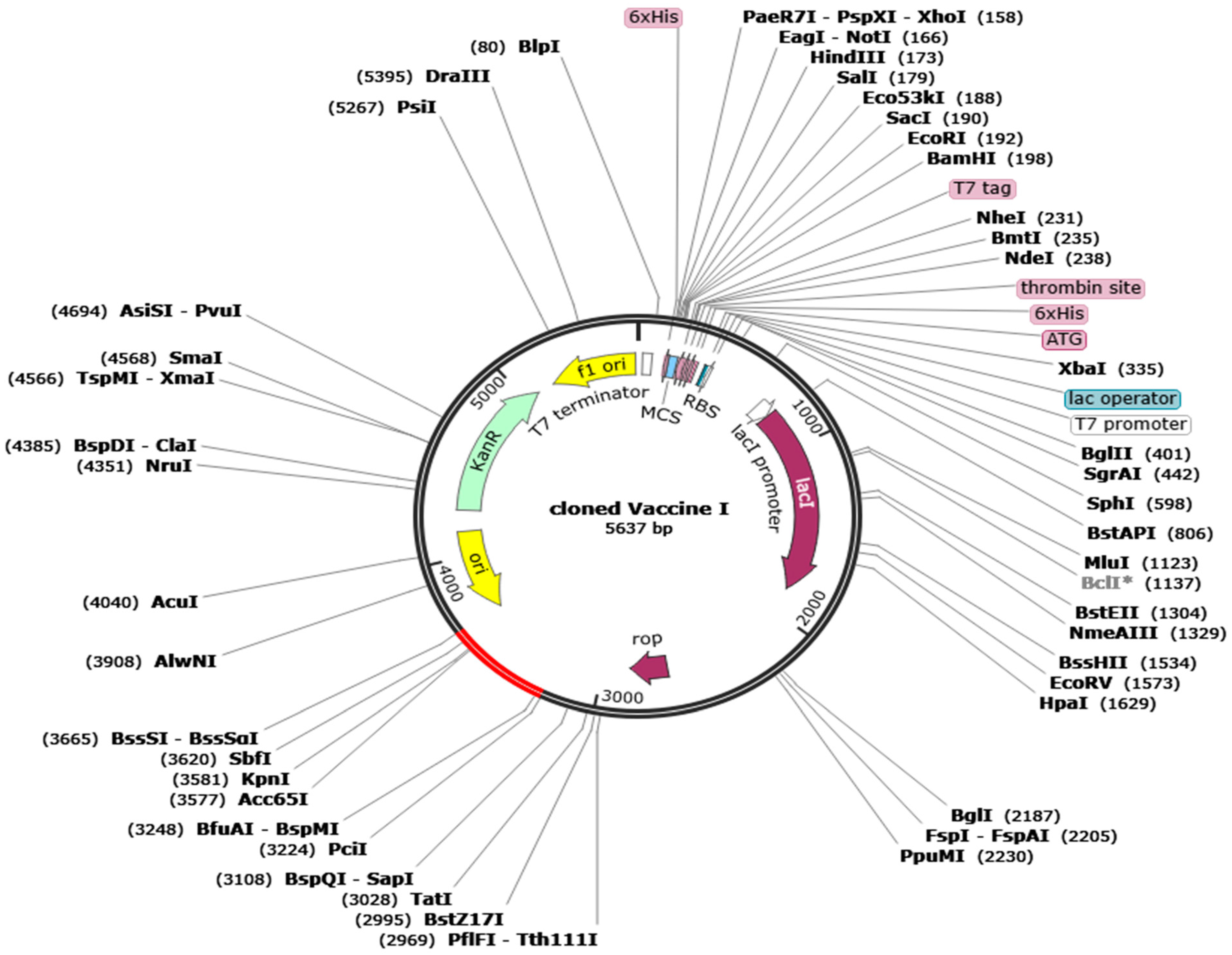 Biology 13 00510 g011