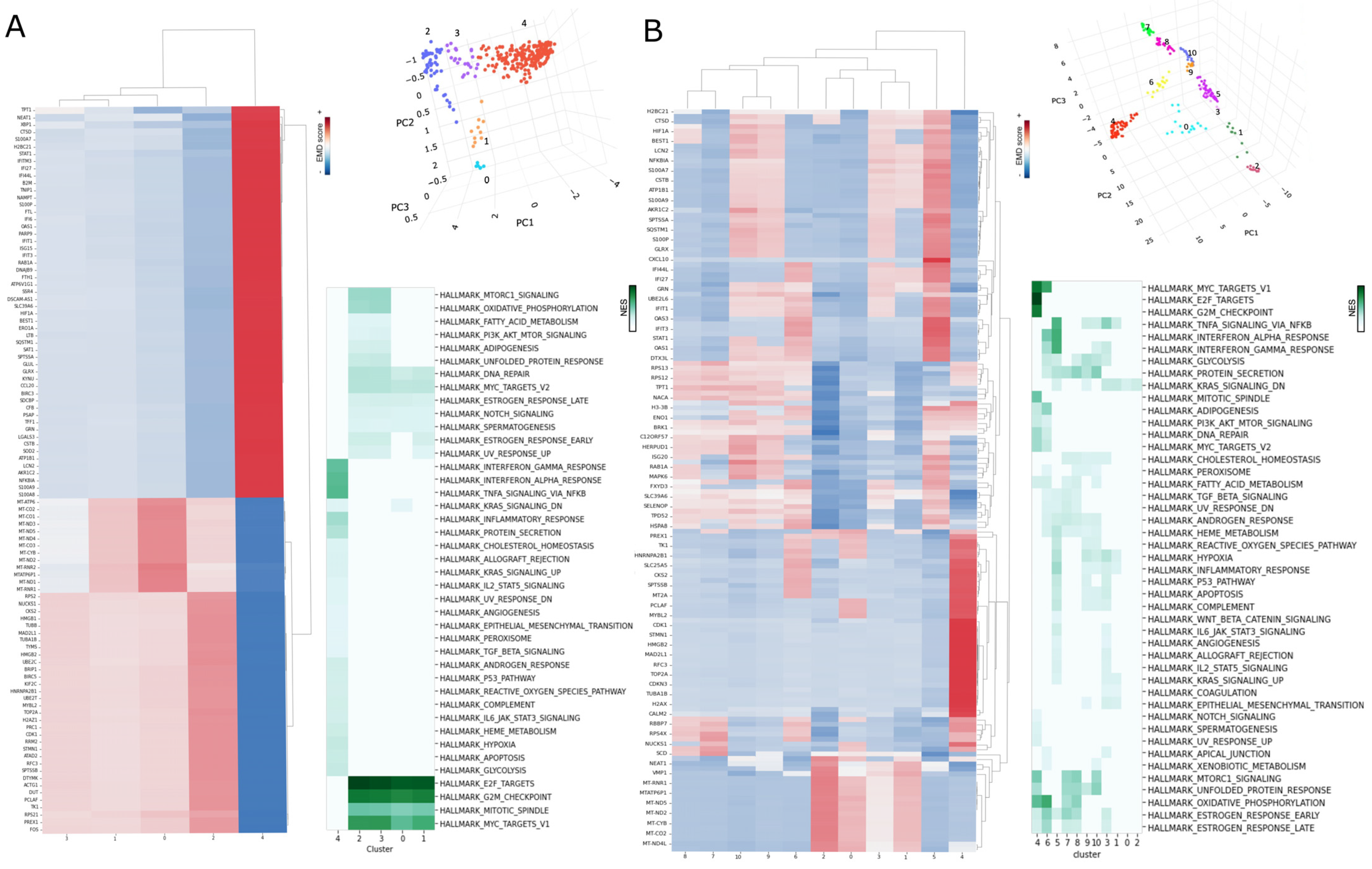 Biology 13 00512 g010