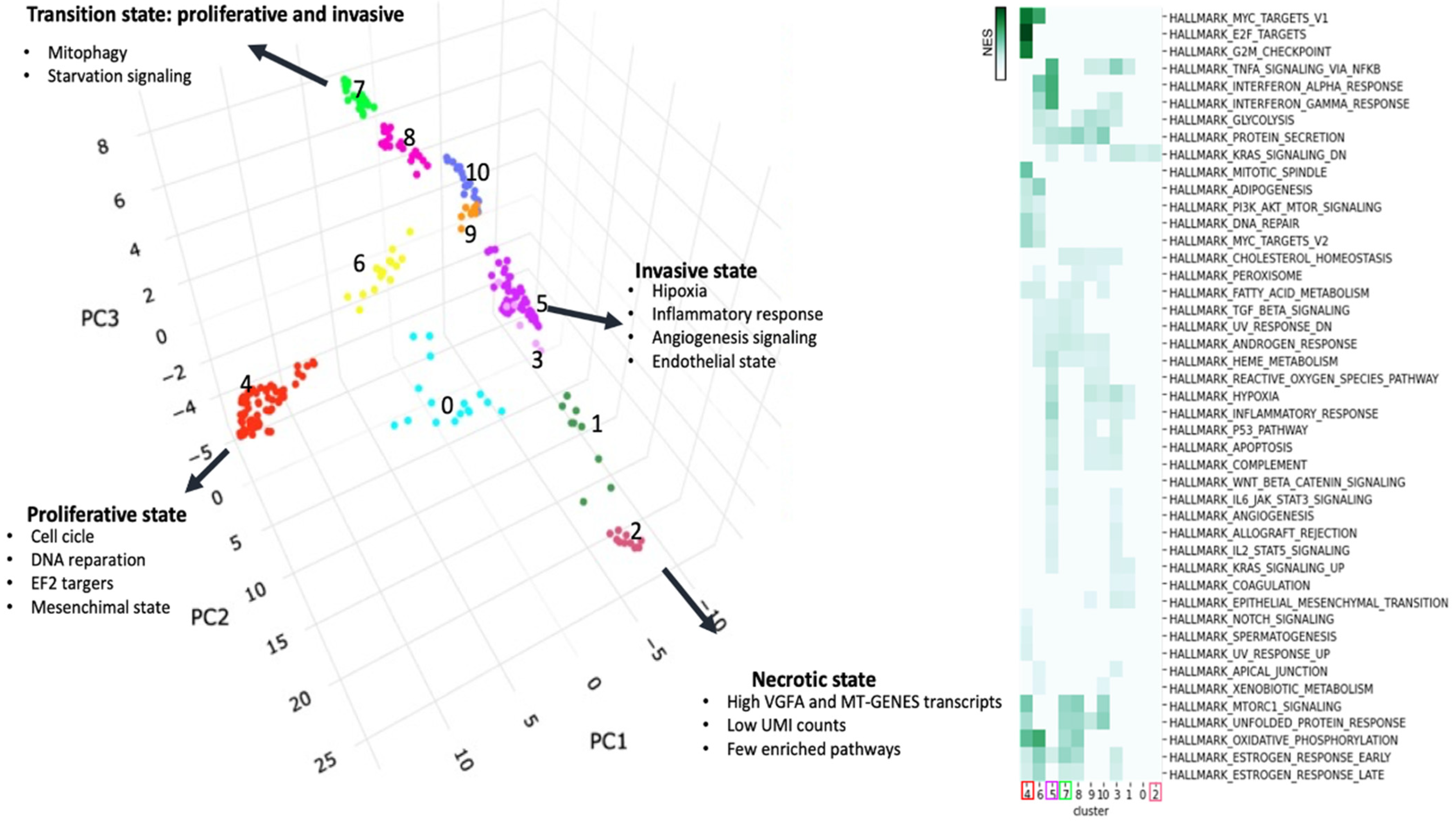 Biology 13 00512 g011