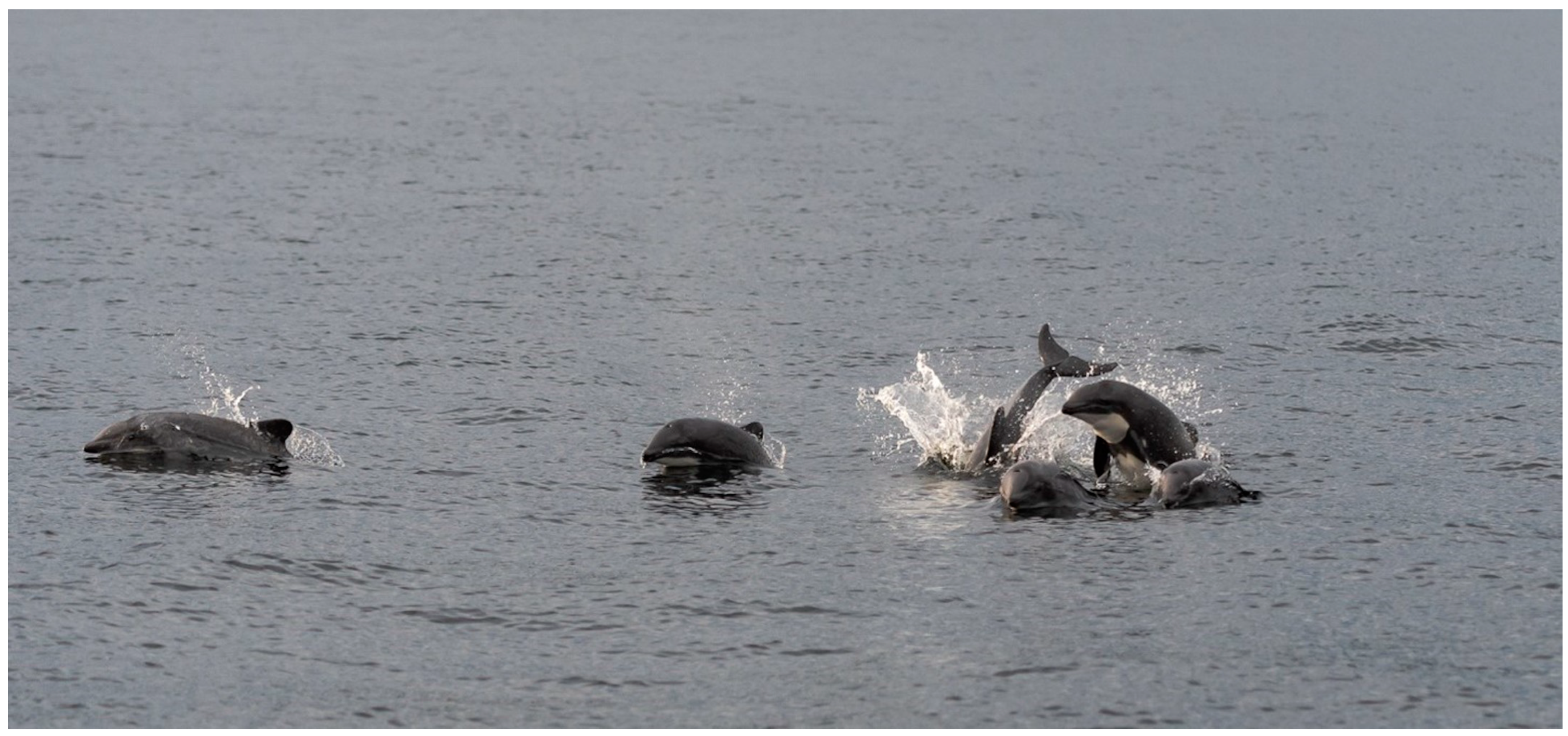 Biology 13 00514 g001 Biology 13 00514 g001