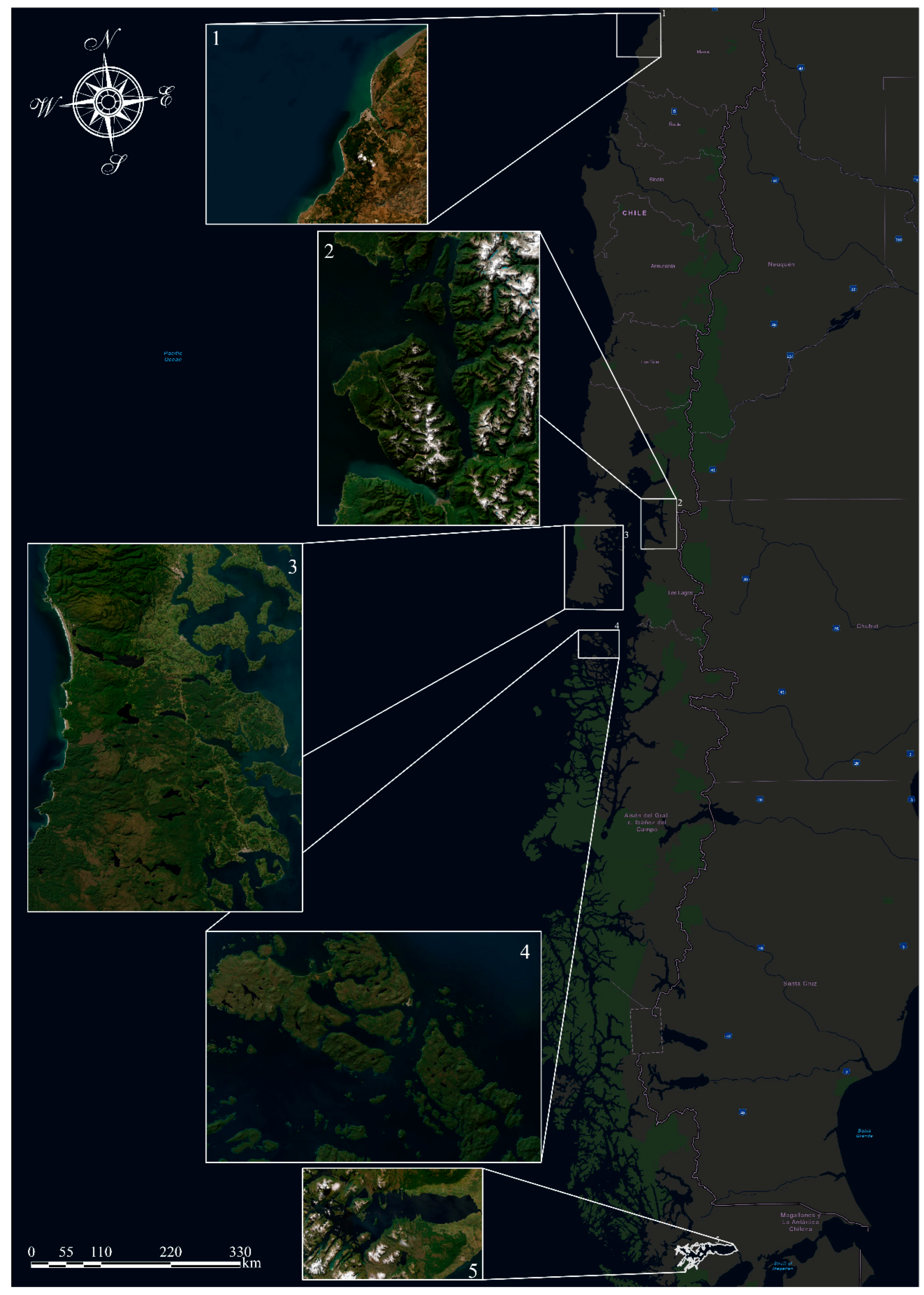 Biology 13 00514 g002 Biology 13 00514 g002