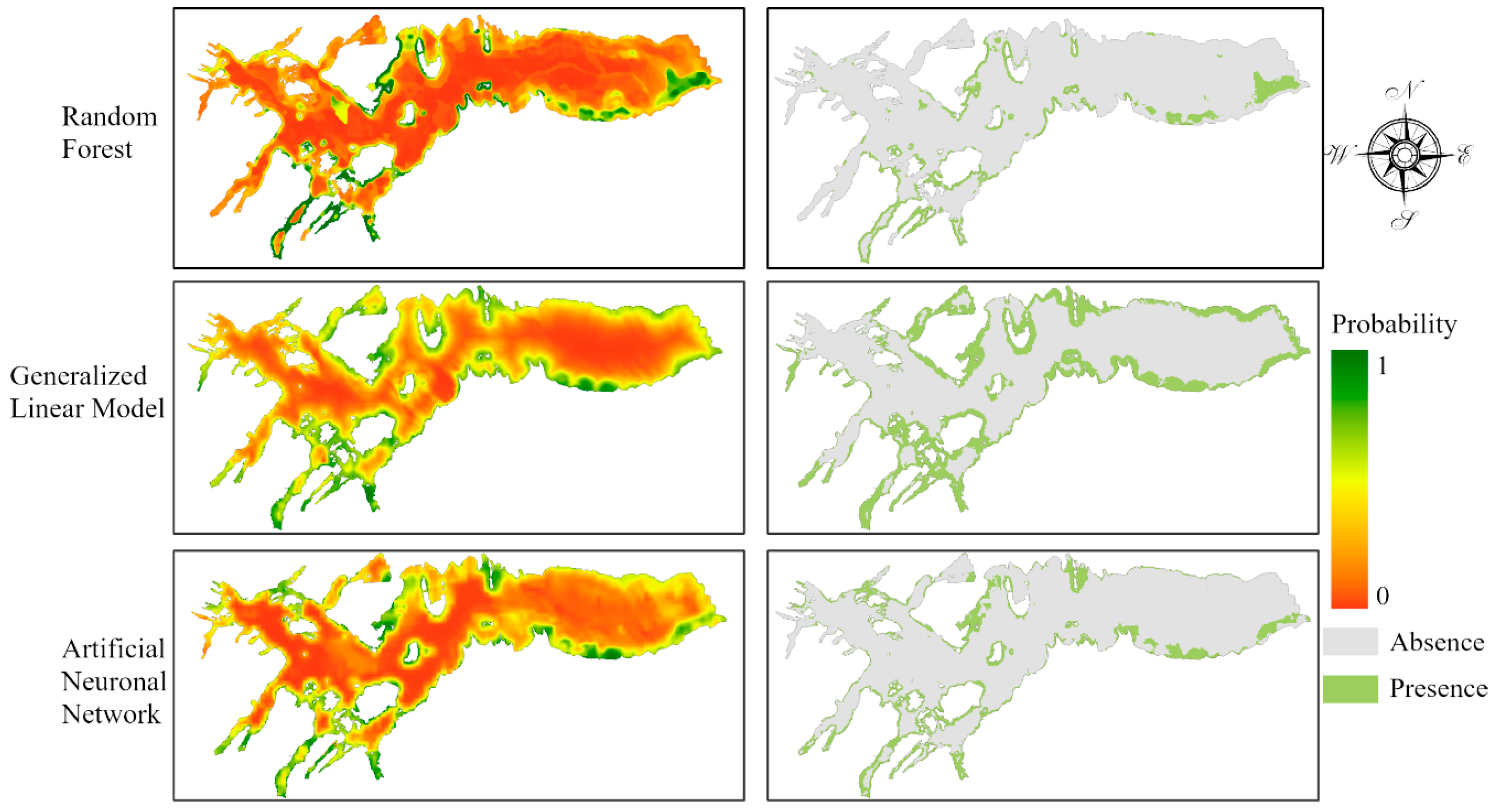Biology 13 00514 g005 Biology 13 00514 g005