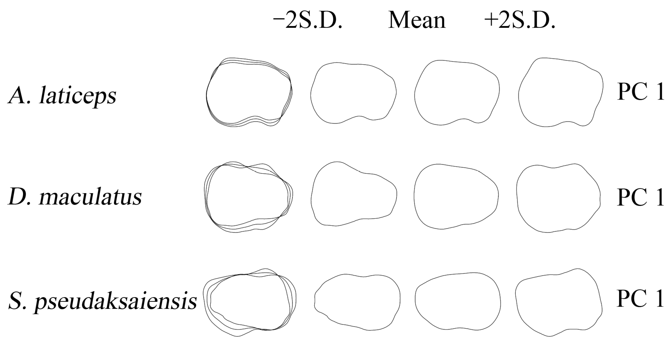 Biology 13 00517 g005