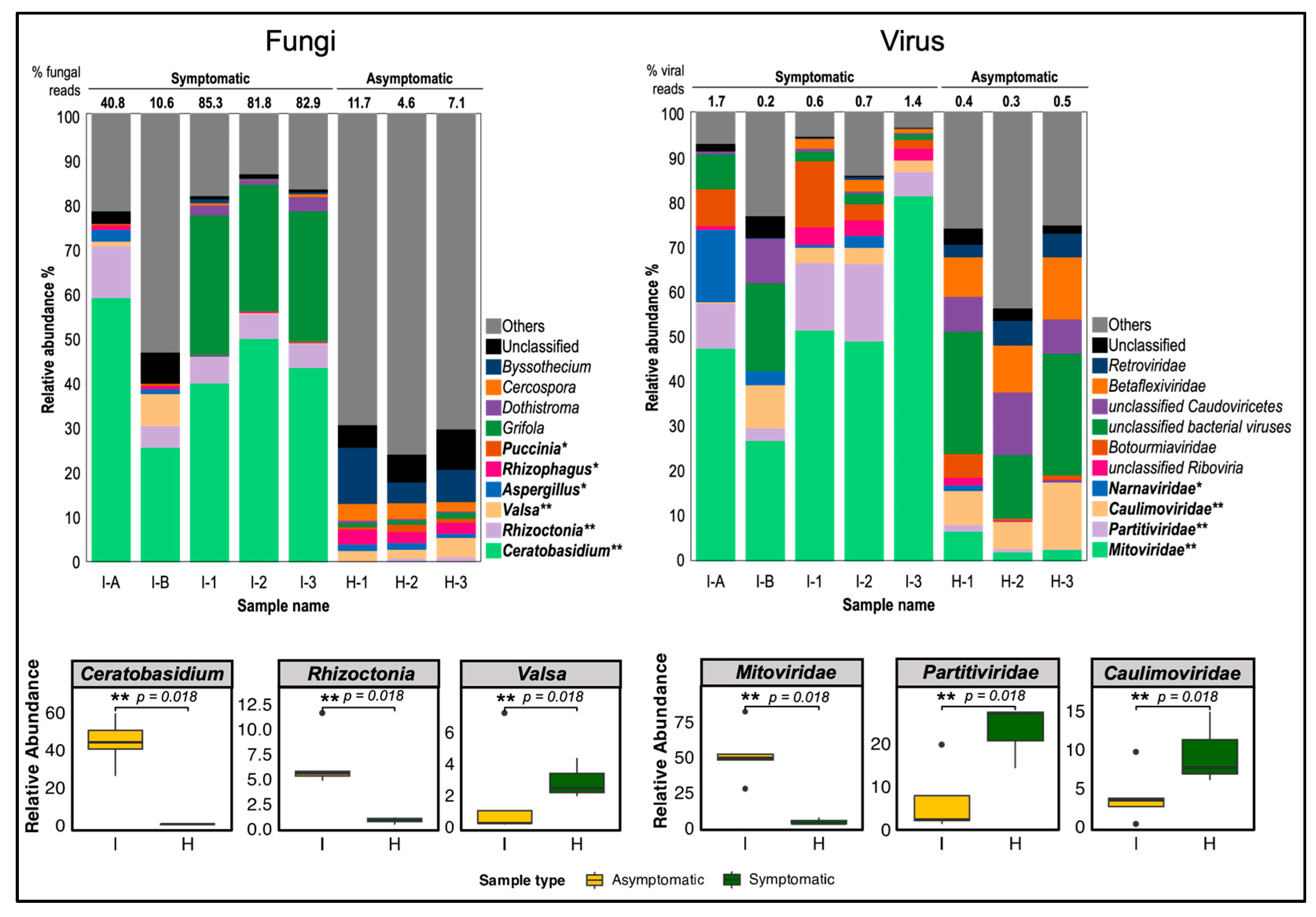 Biology 13 00522 g007