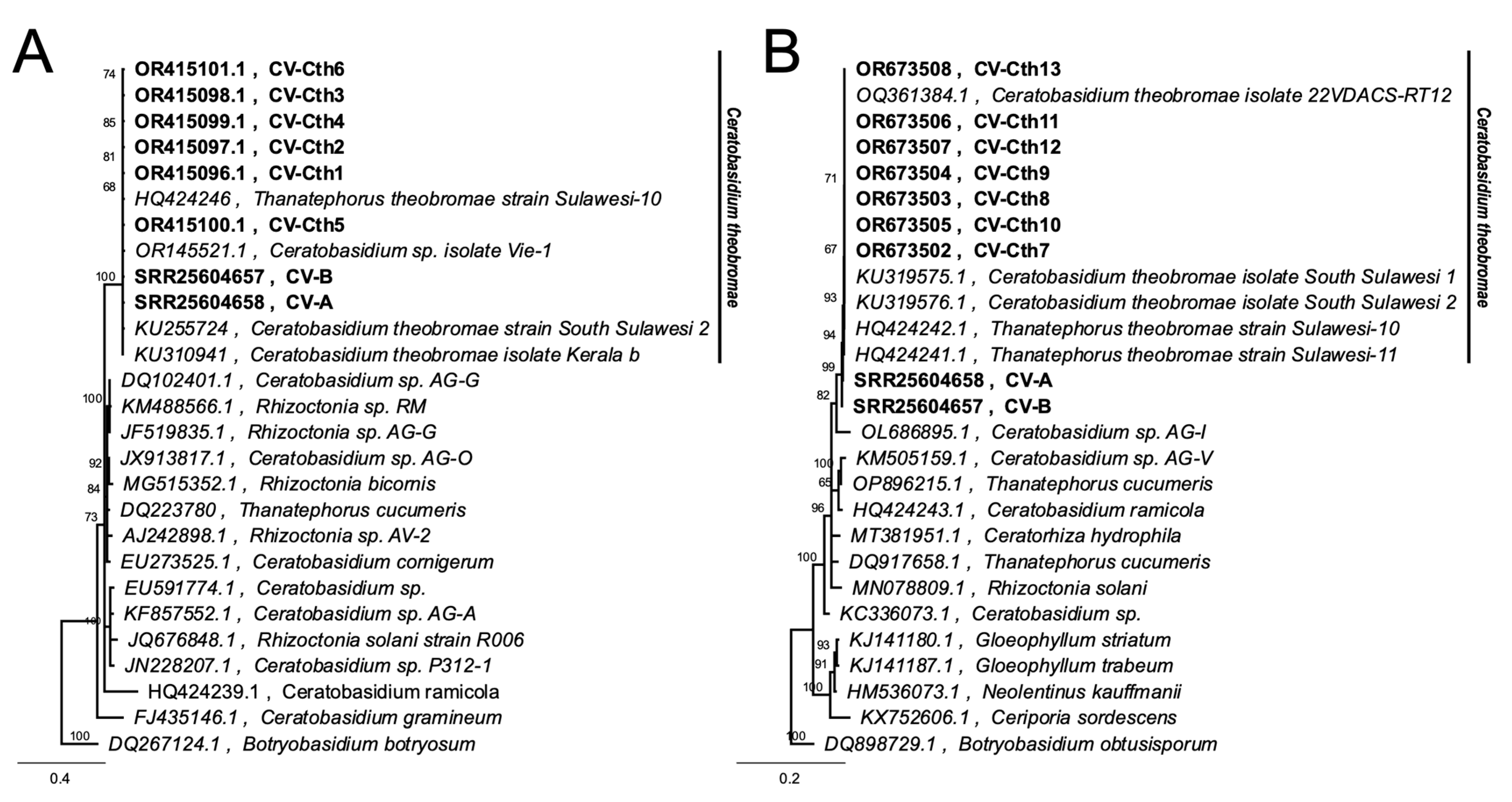Biology 13 00522 g009