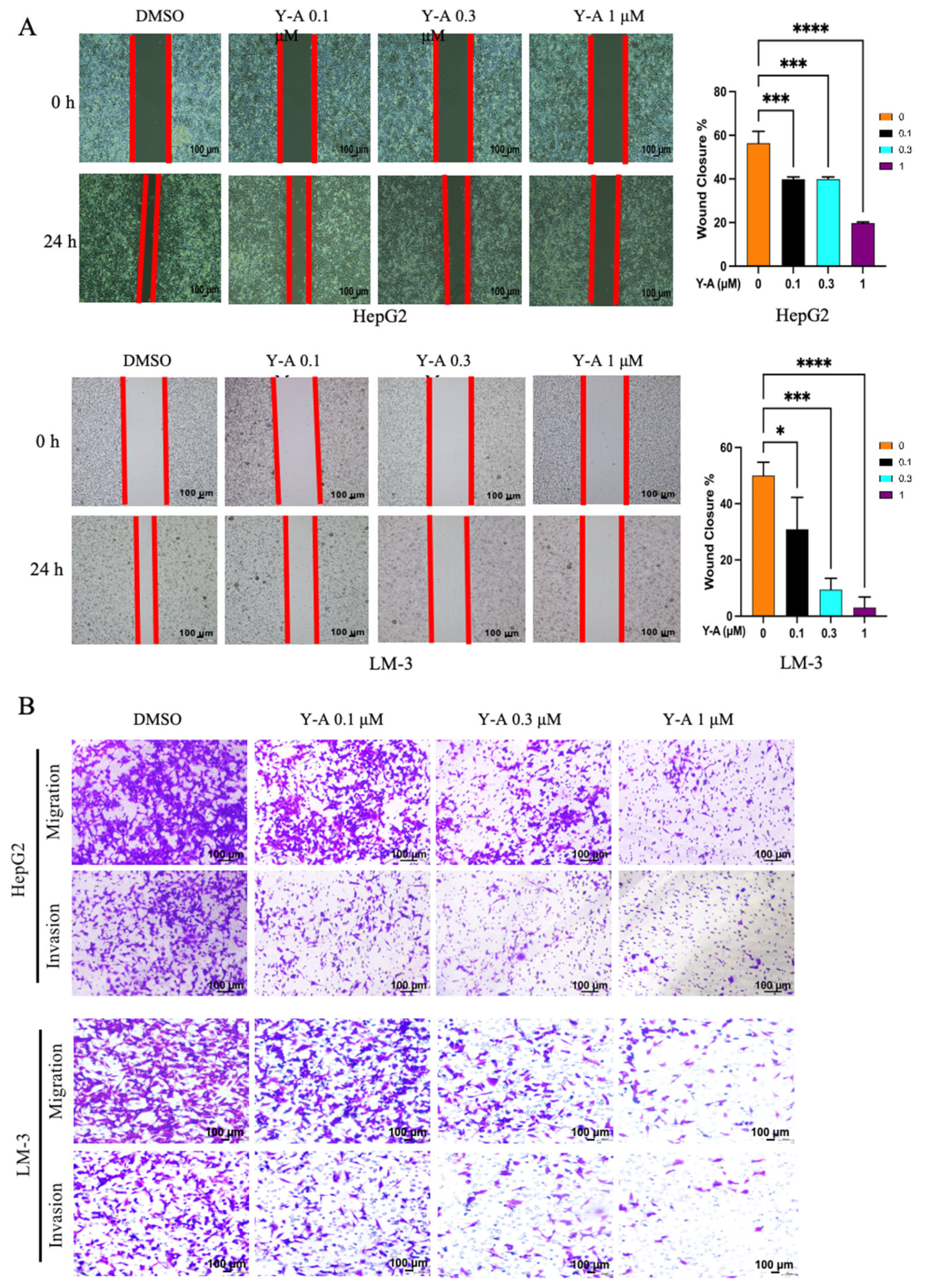 Biology 13 00528 g002