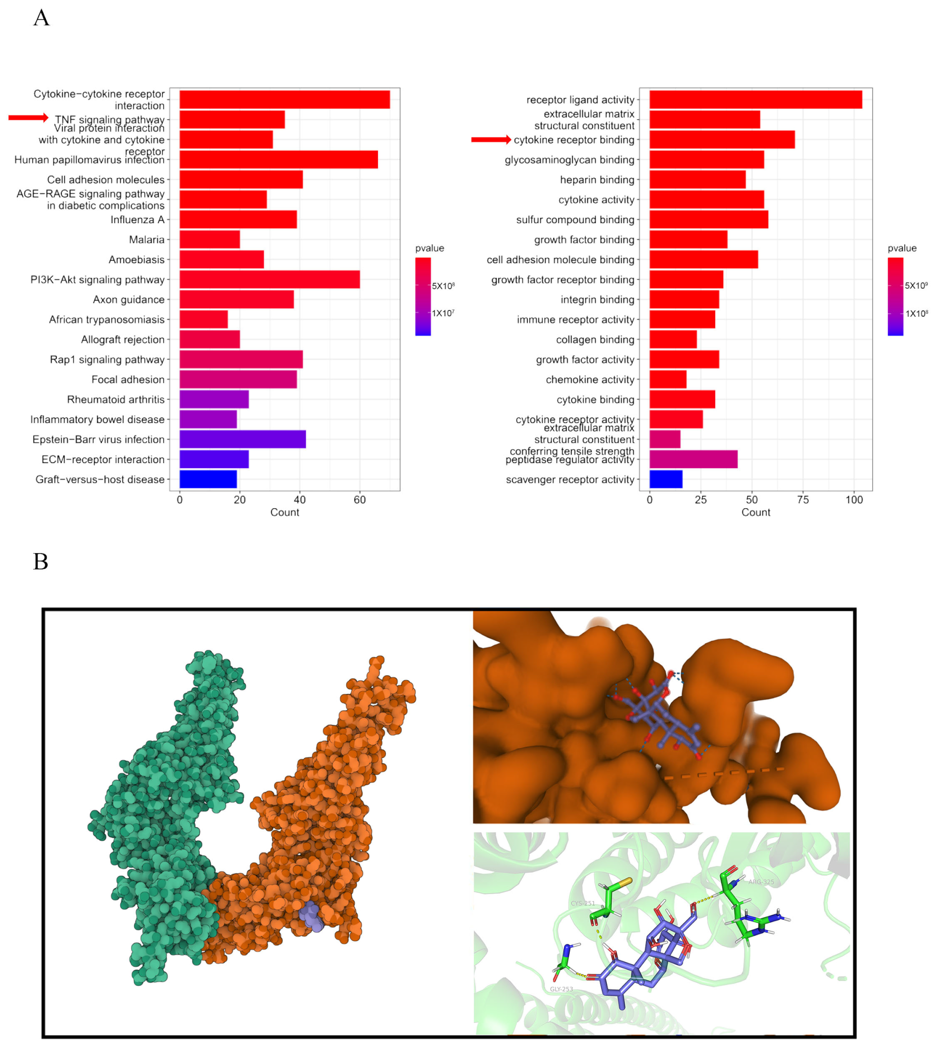 Biology 13 00528 g005