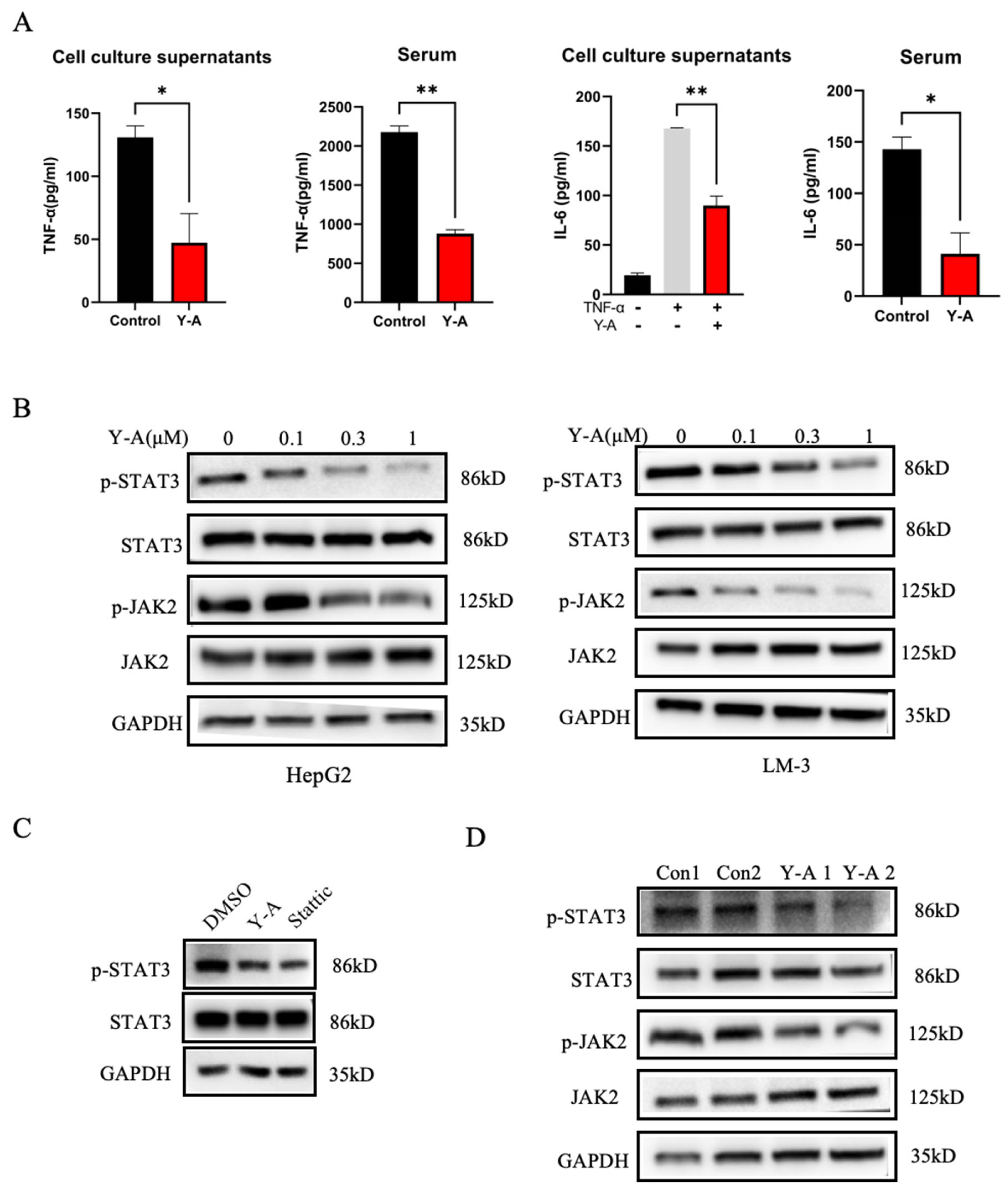 Biology 13 00528 g006