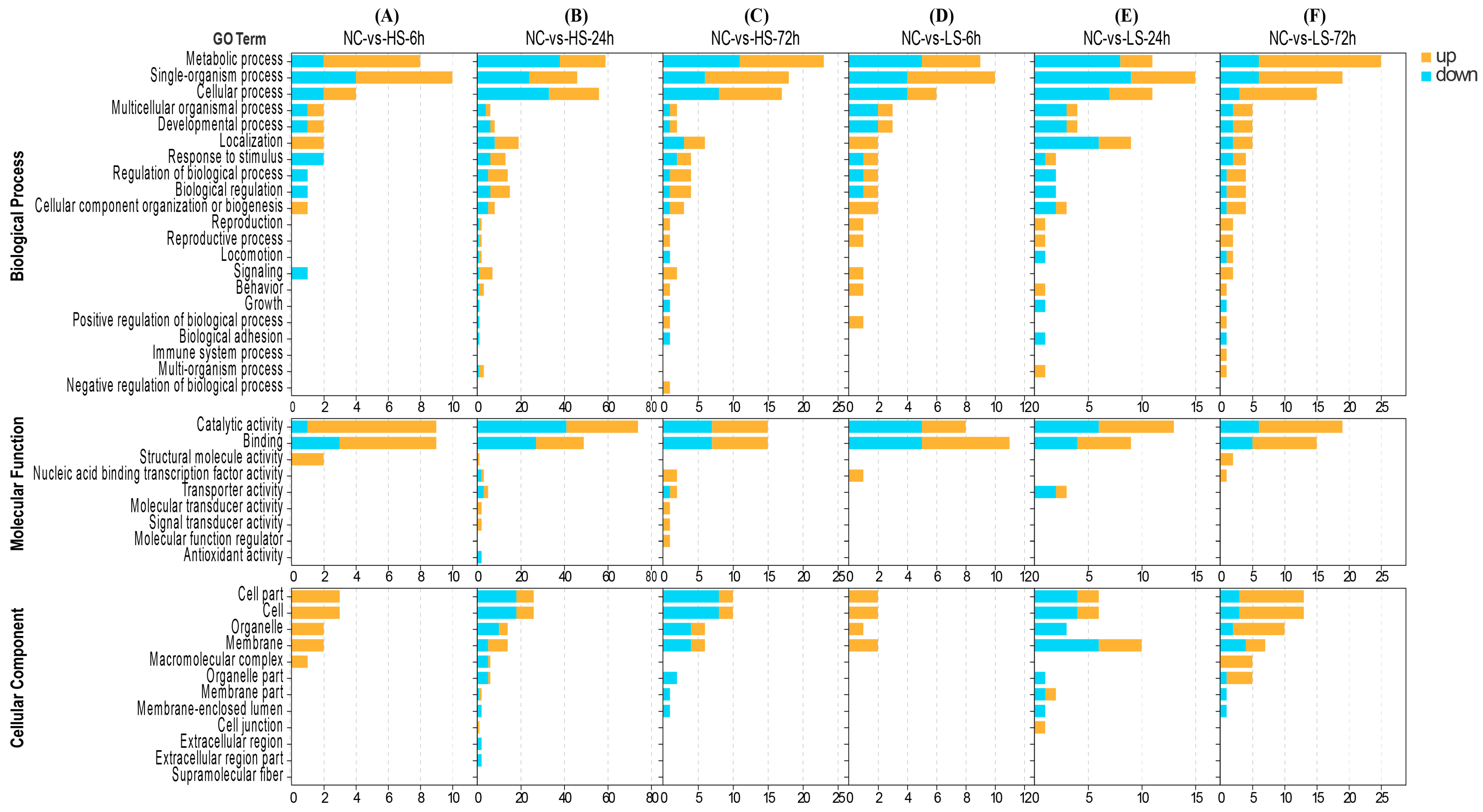 Biology 13 00530 g002 Biology 13 00530 g002