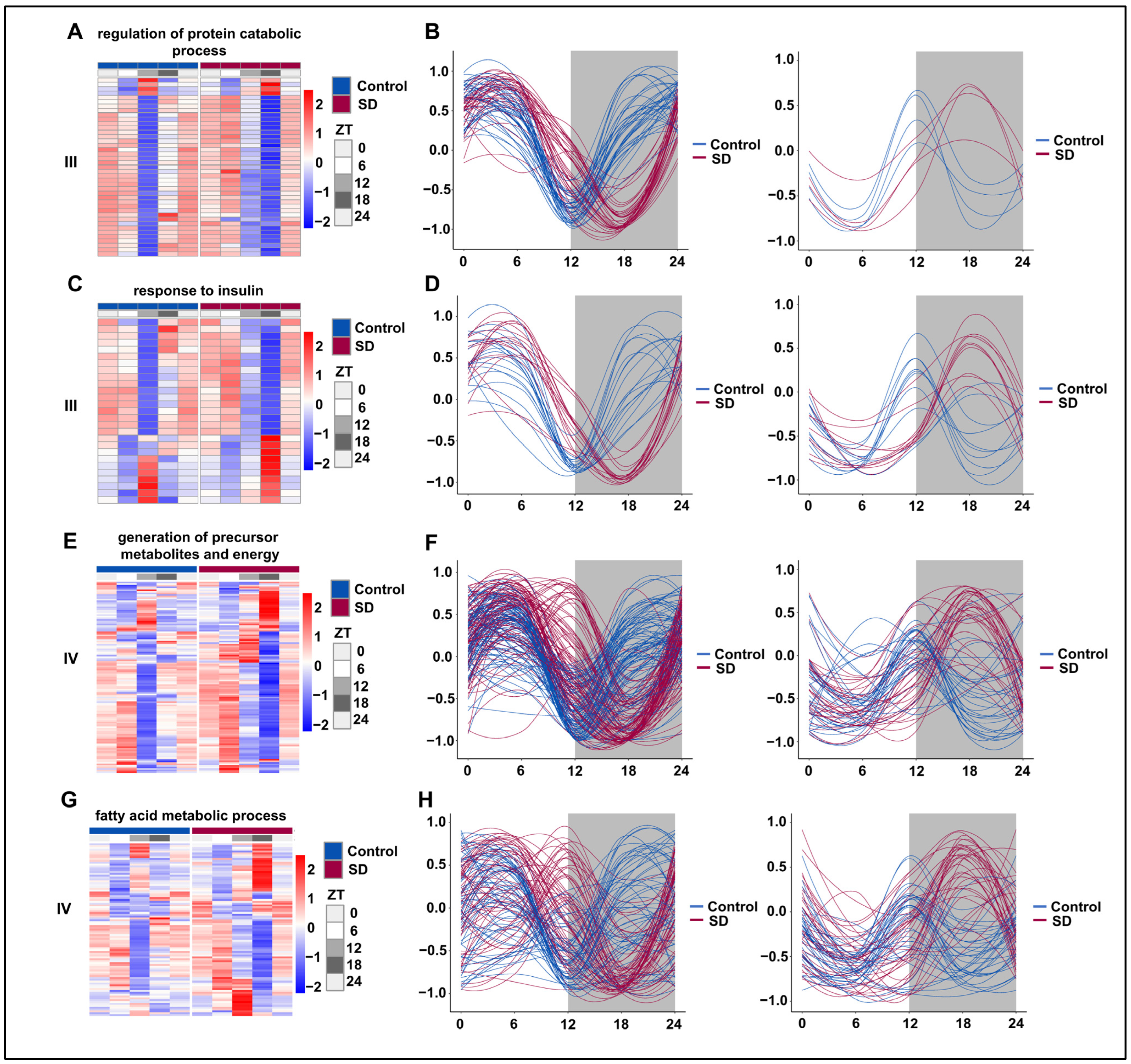 Biology 13 00532 g006 Biology 13 00532 g006