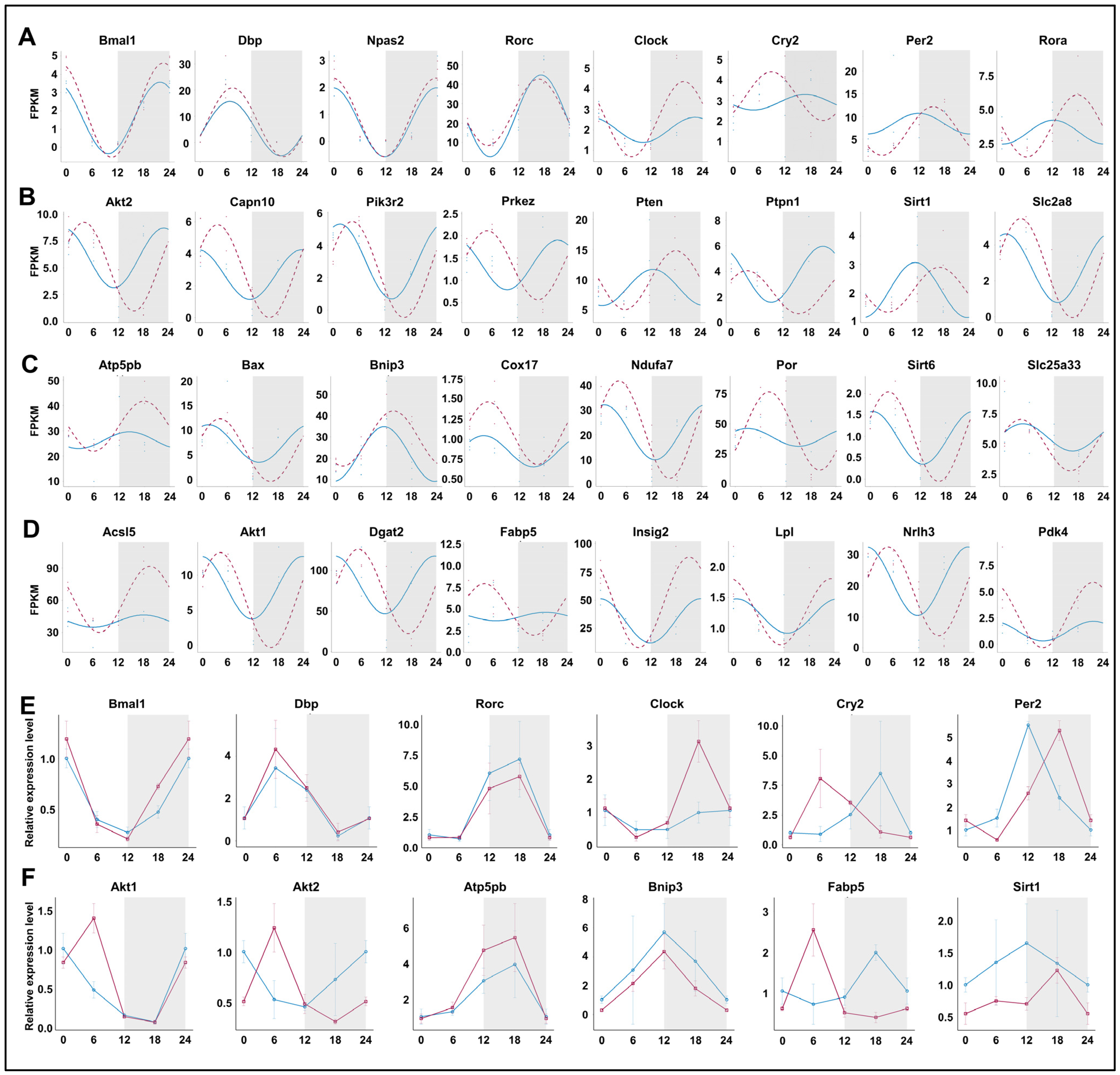 Biology 13 00532 g007 Biology 13 00532 g007