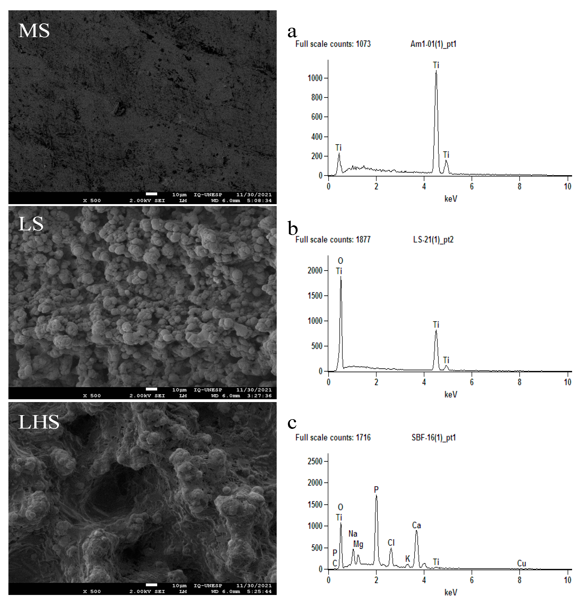 Biology 13 00533 g001