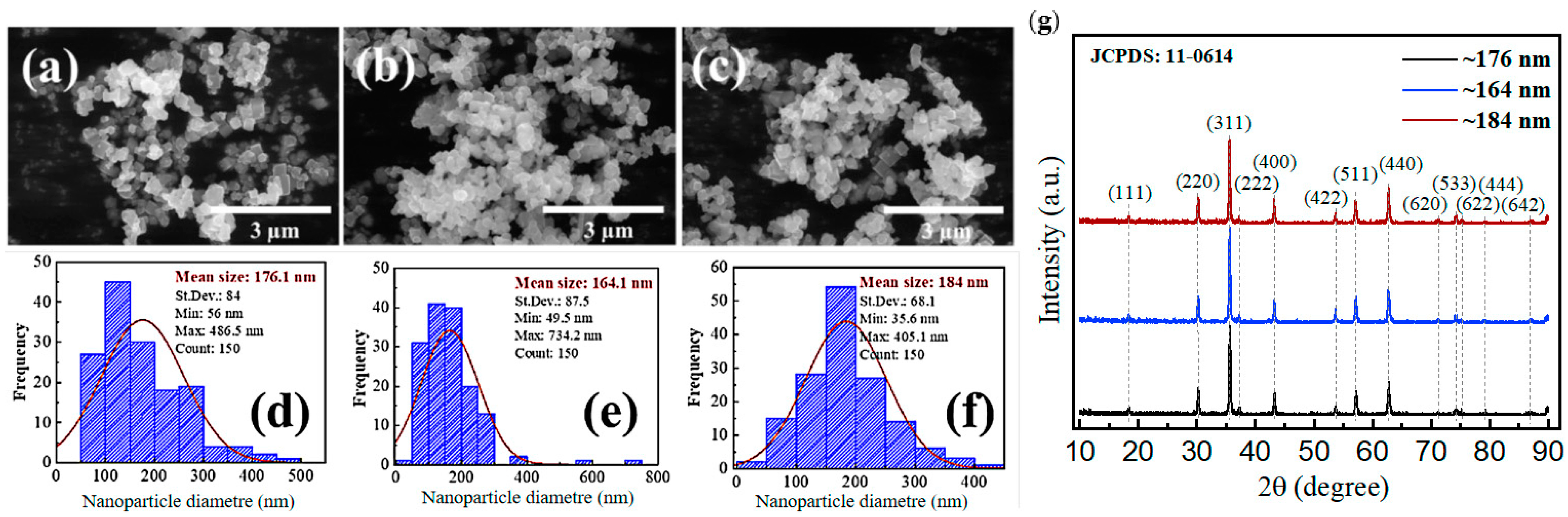 Biology 13 00536 g001