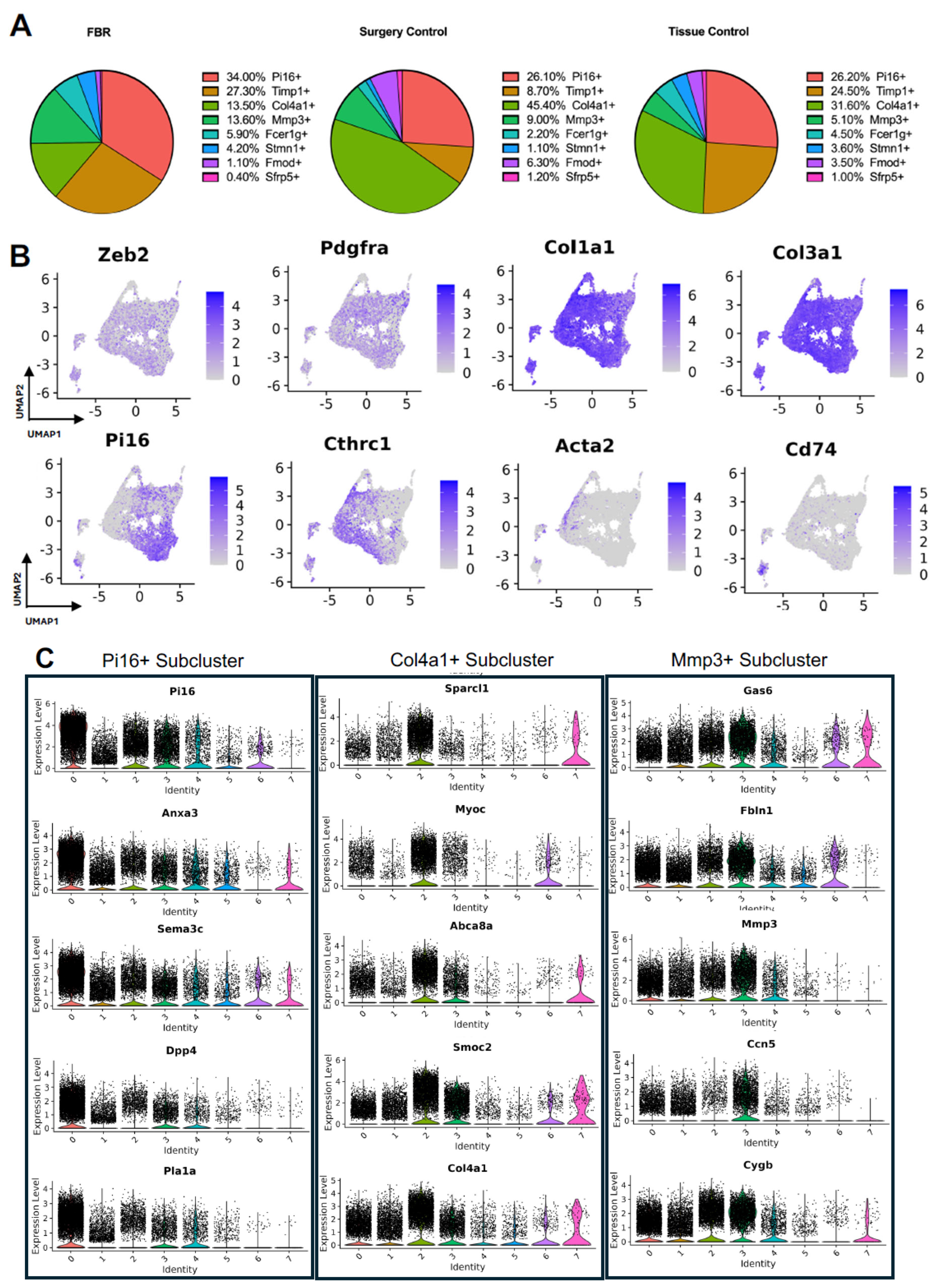 Biology 13 00540 g003
