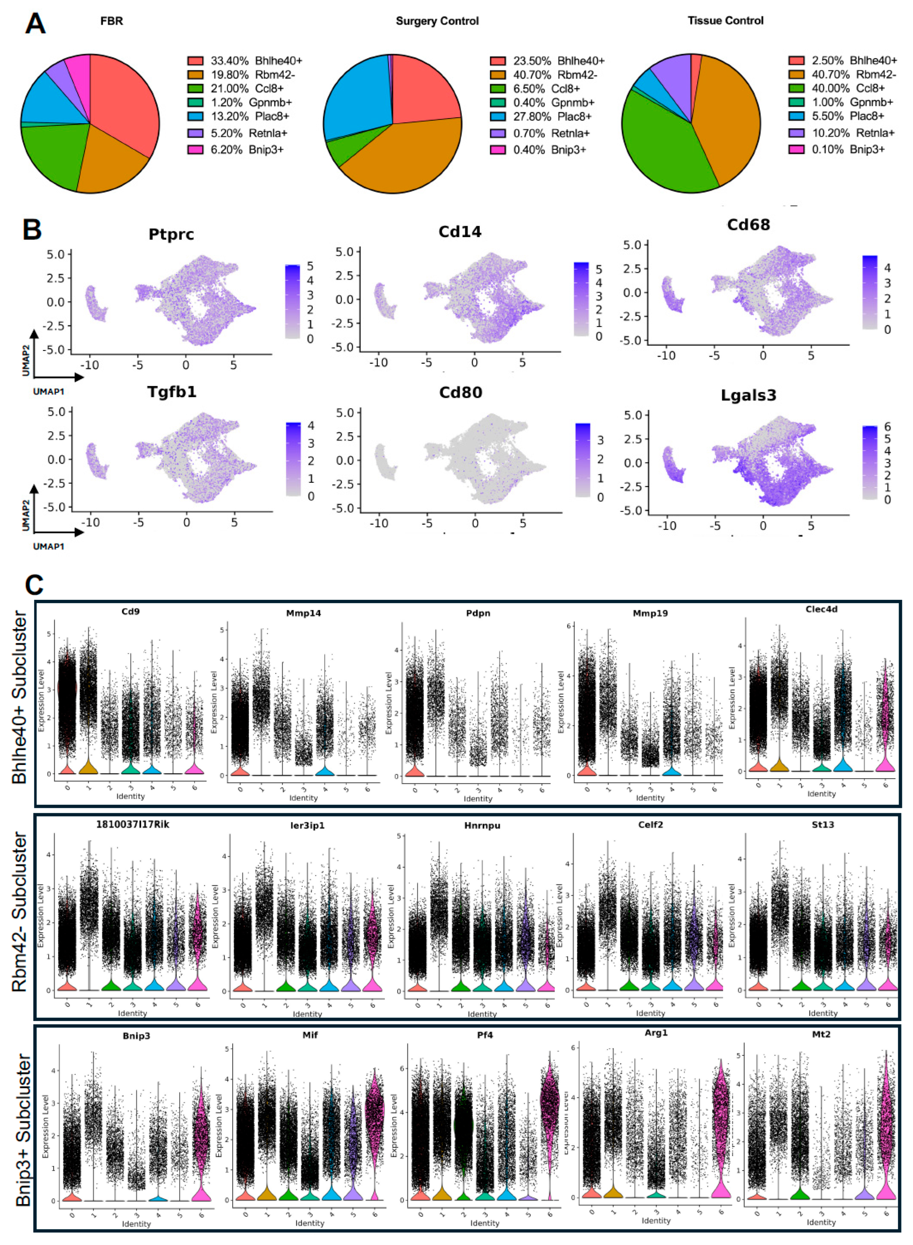 Biology 13 00540 g005