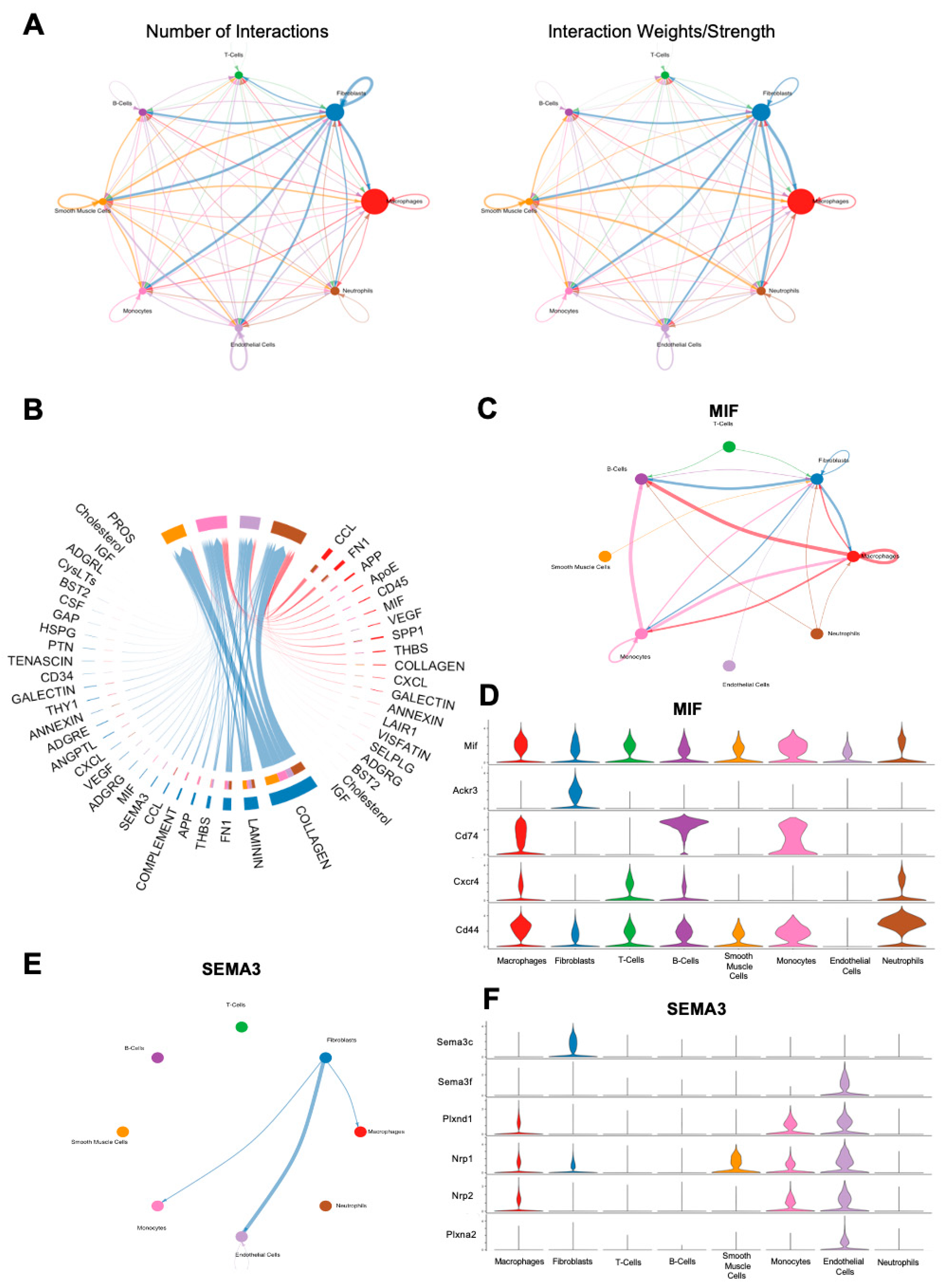 Biology 13 00540 g006