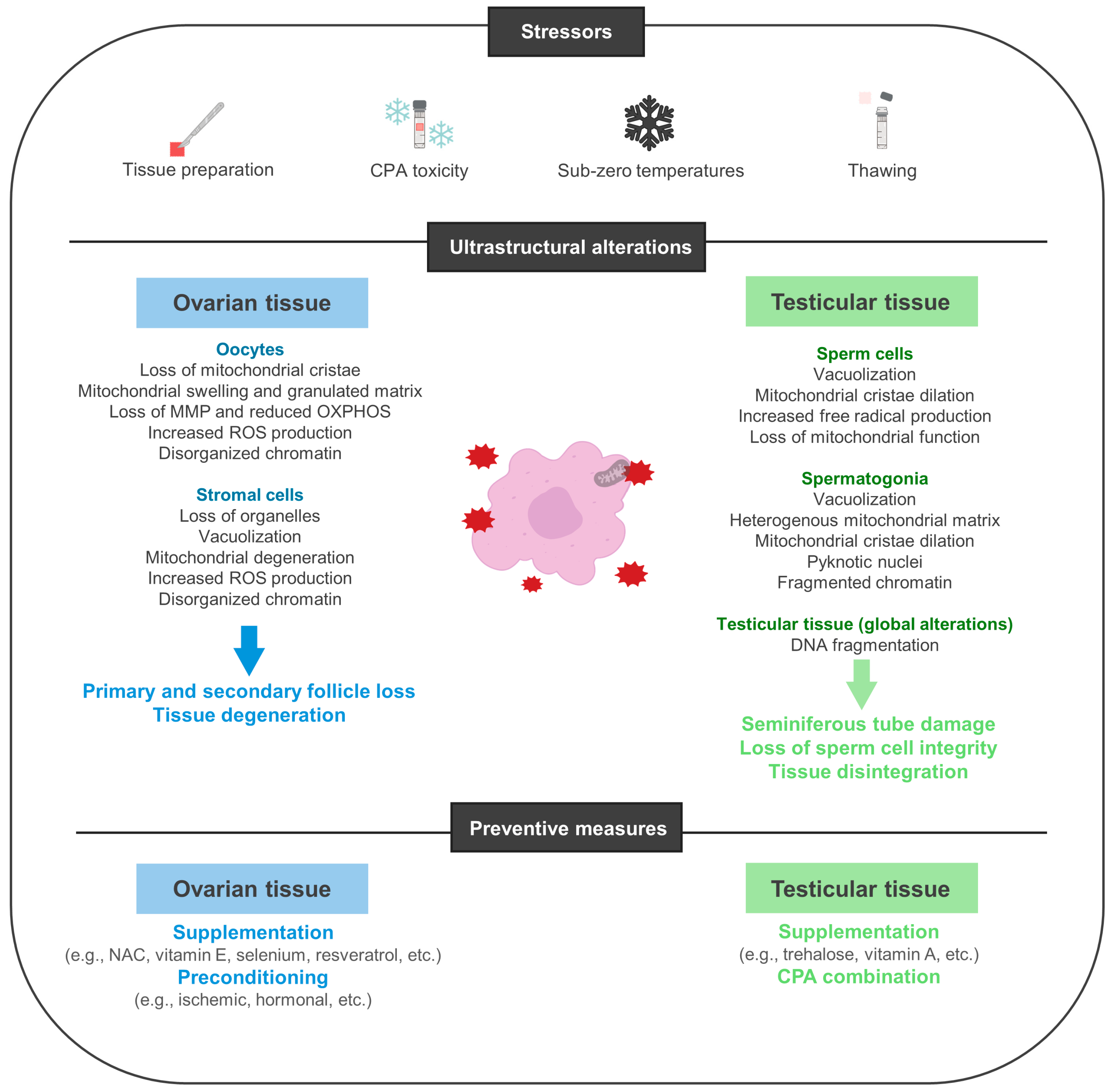 Biology 13 00542 g003