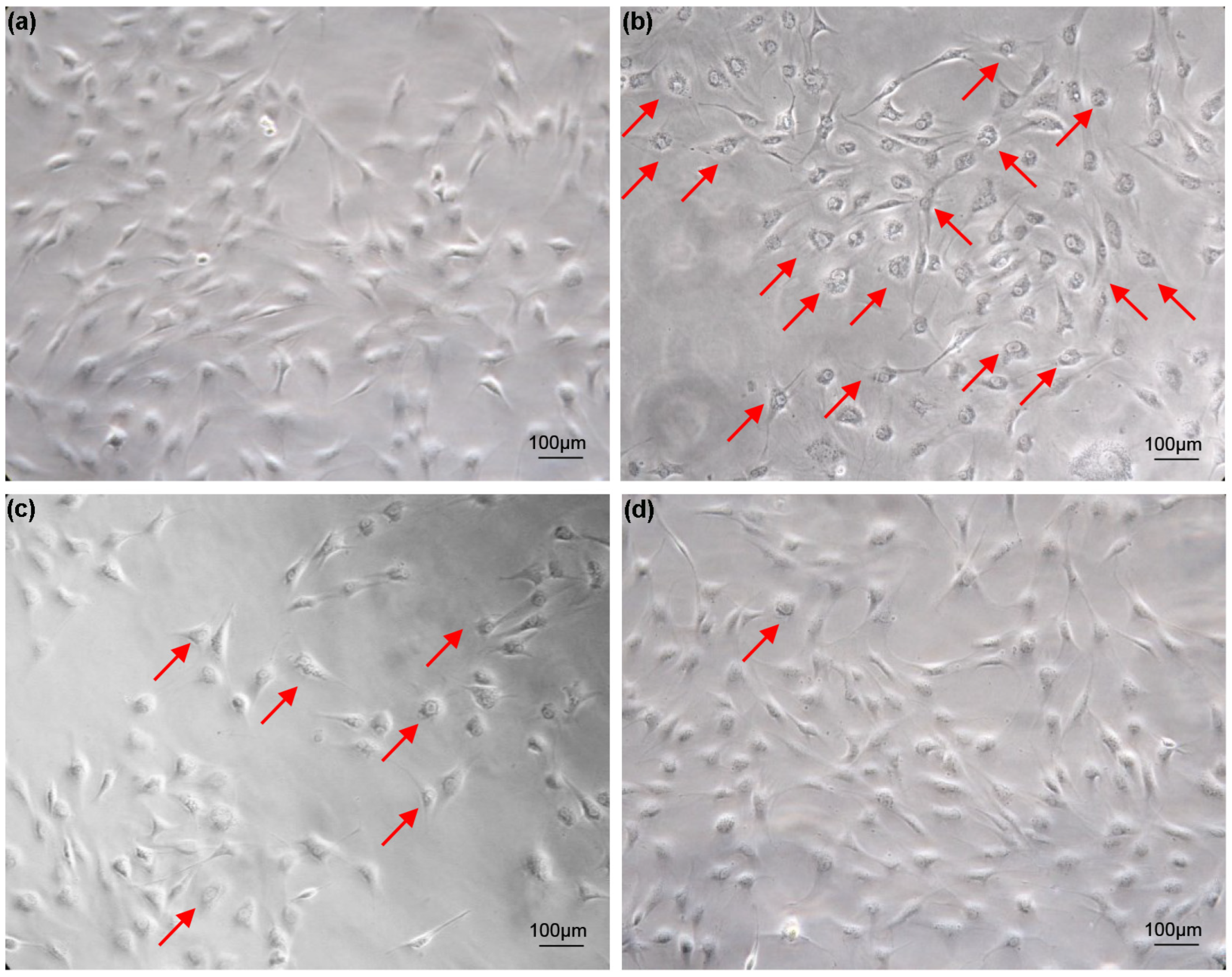 Biology 13 00545 g001 Biology 13 00545 g001