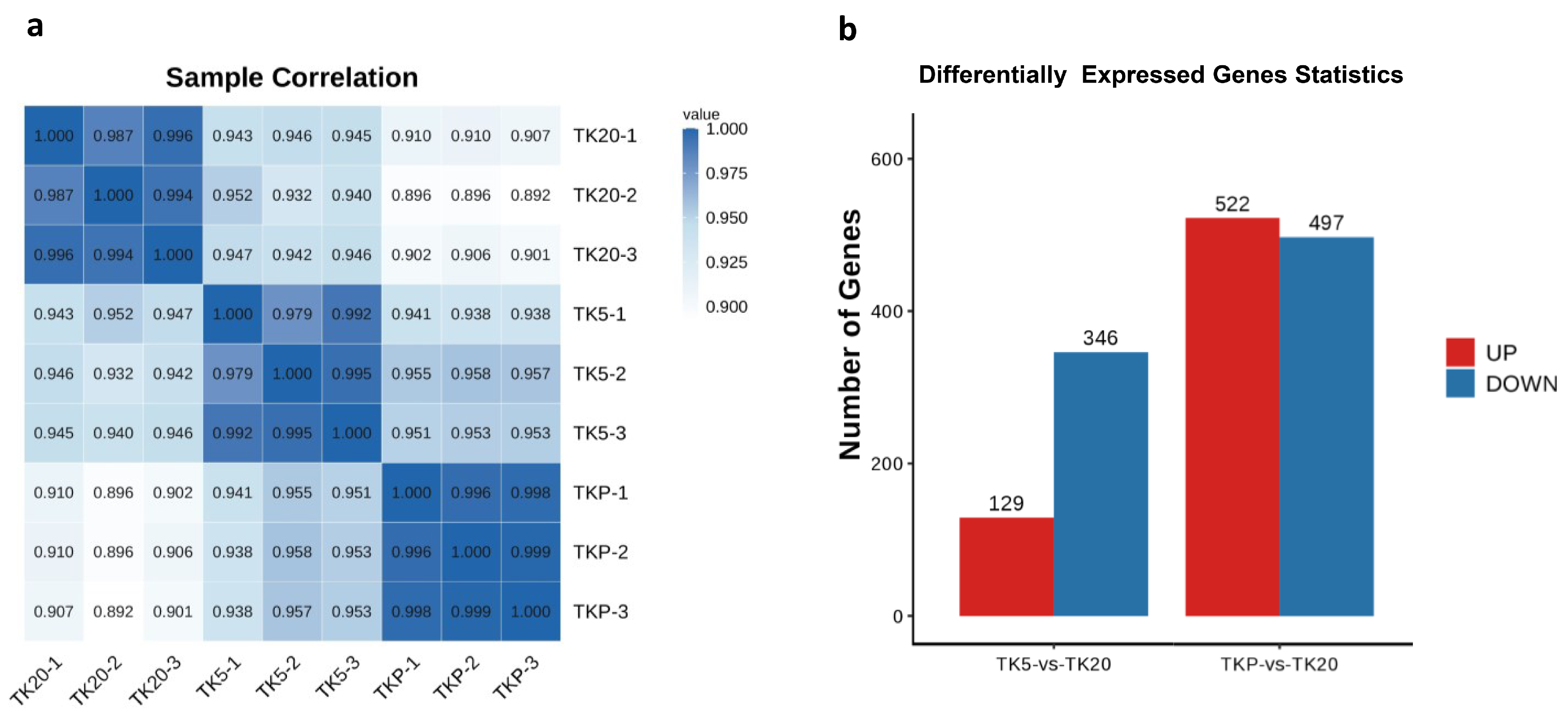 Biology 13 00545 g002 Biology 13 00545 g002