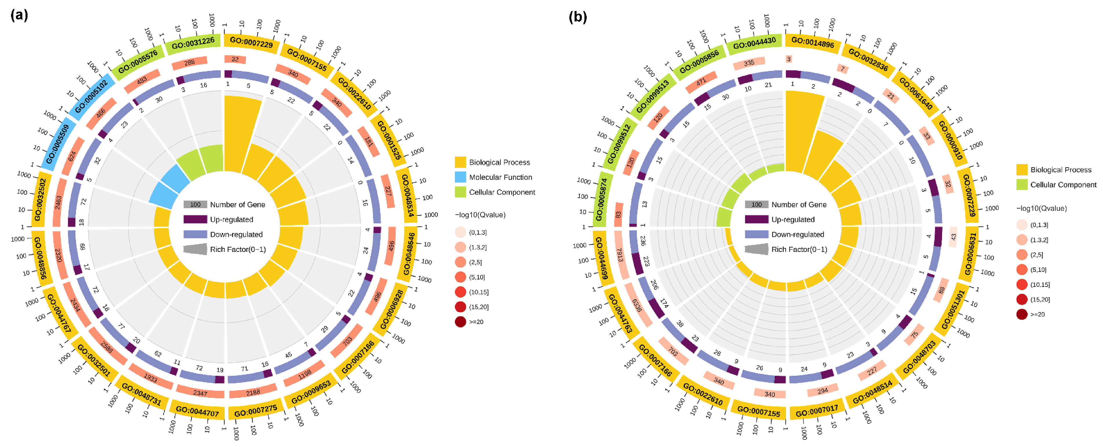 Biology 13 00545 g003 Biology 13 00545 g003