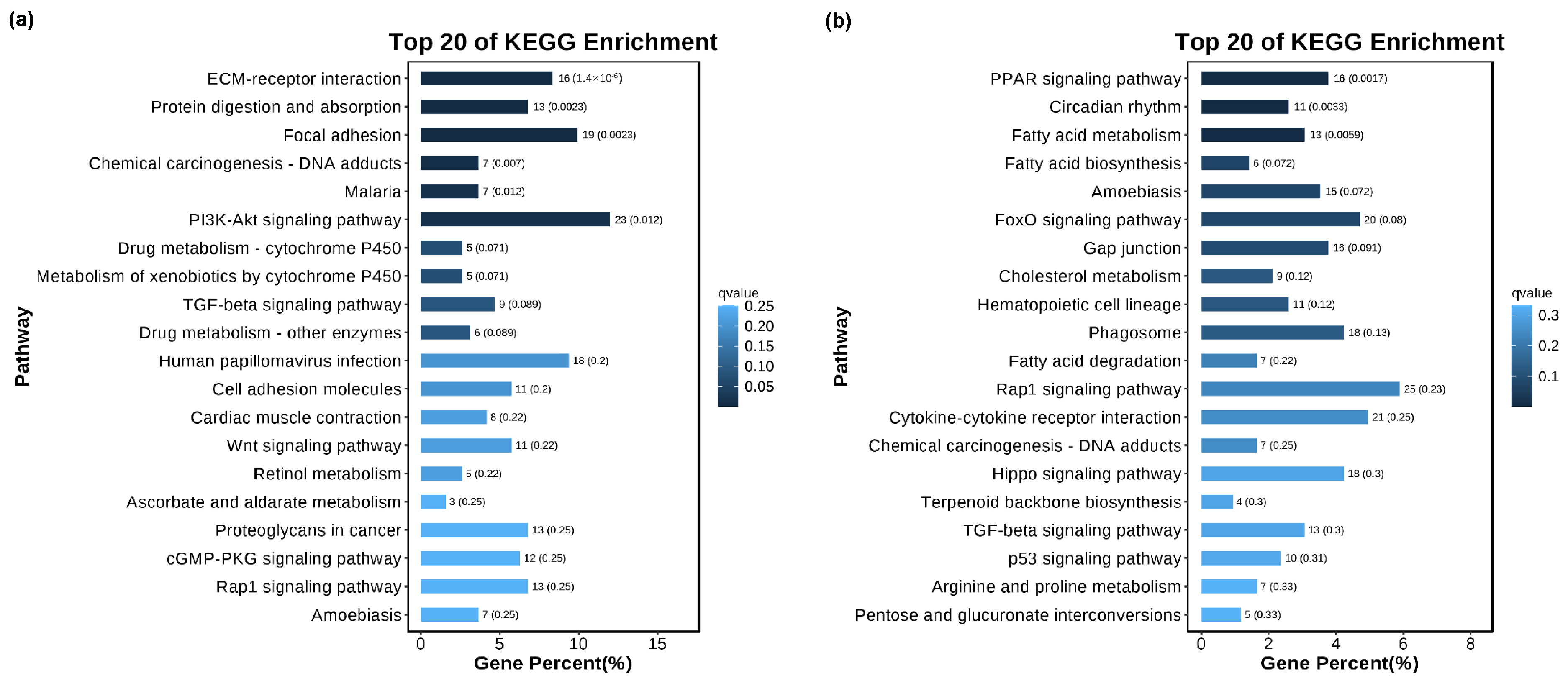 Biology 13 00545 g004 Biology 13 00545 g004