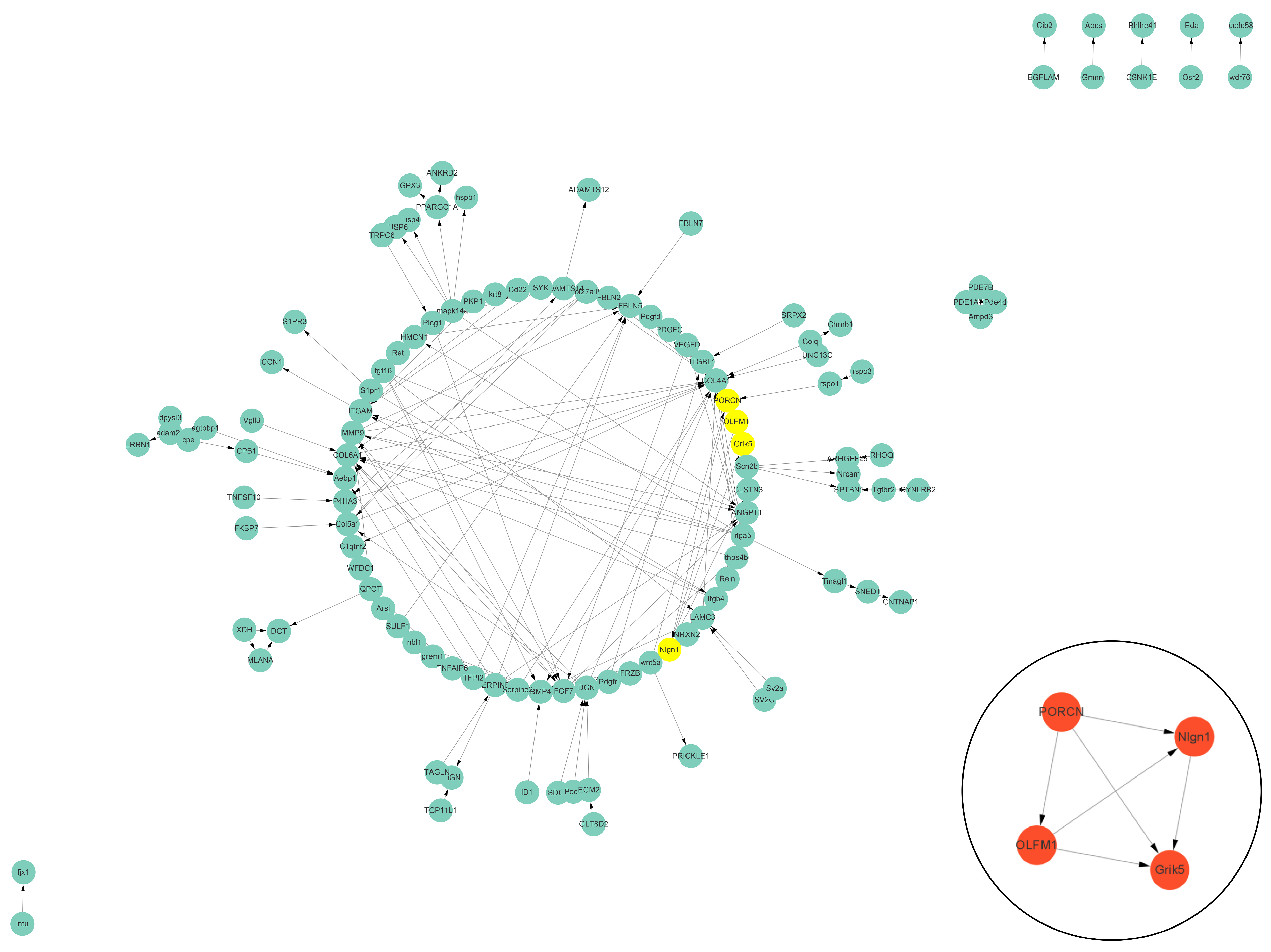 Biology 13 00545 g005 Biology 13 00545 g005