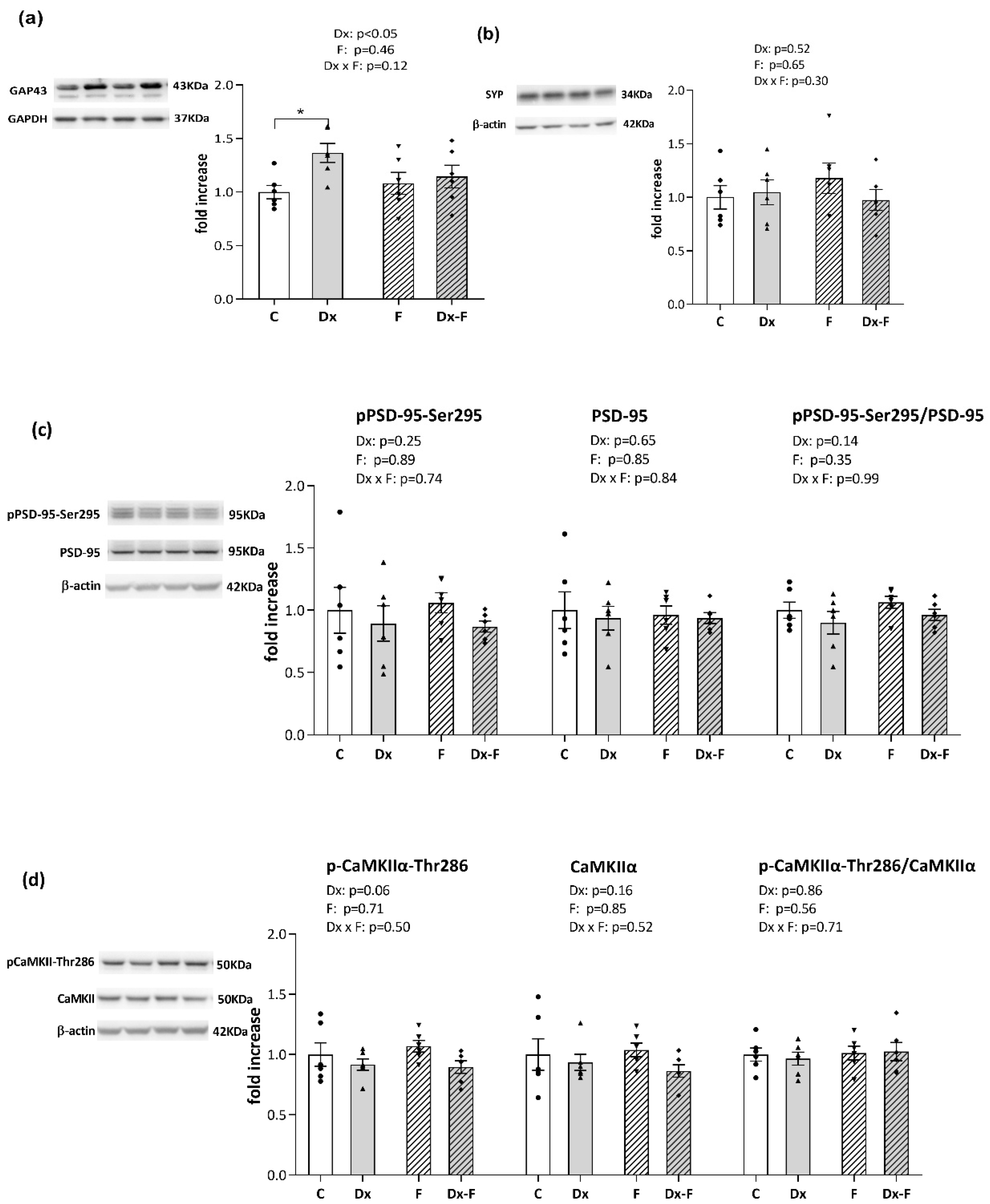 Biology 13 00547 g003