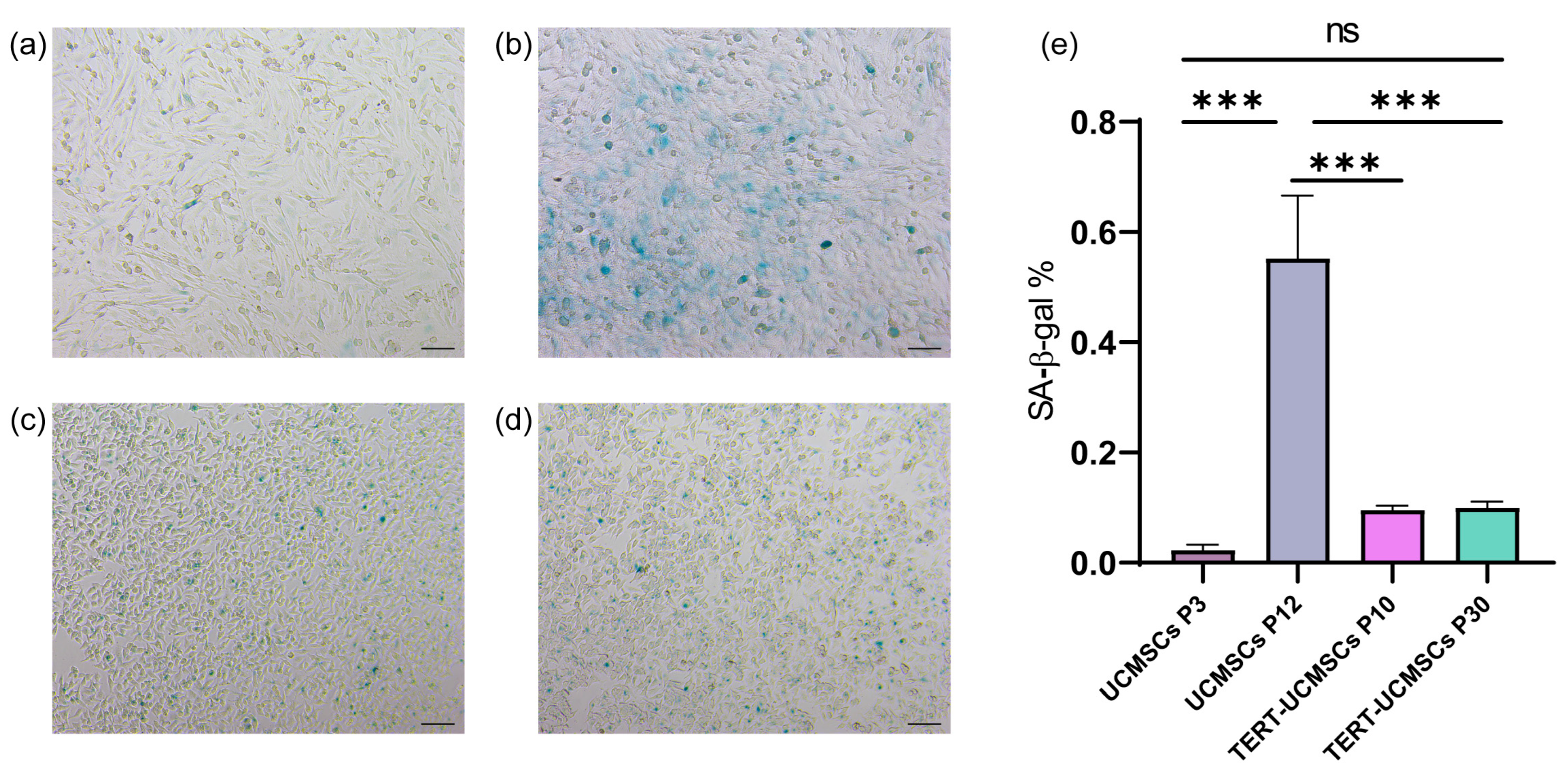 Biology 13 00551 g004