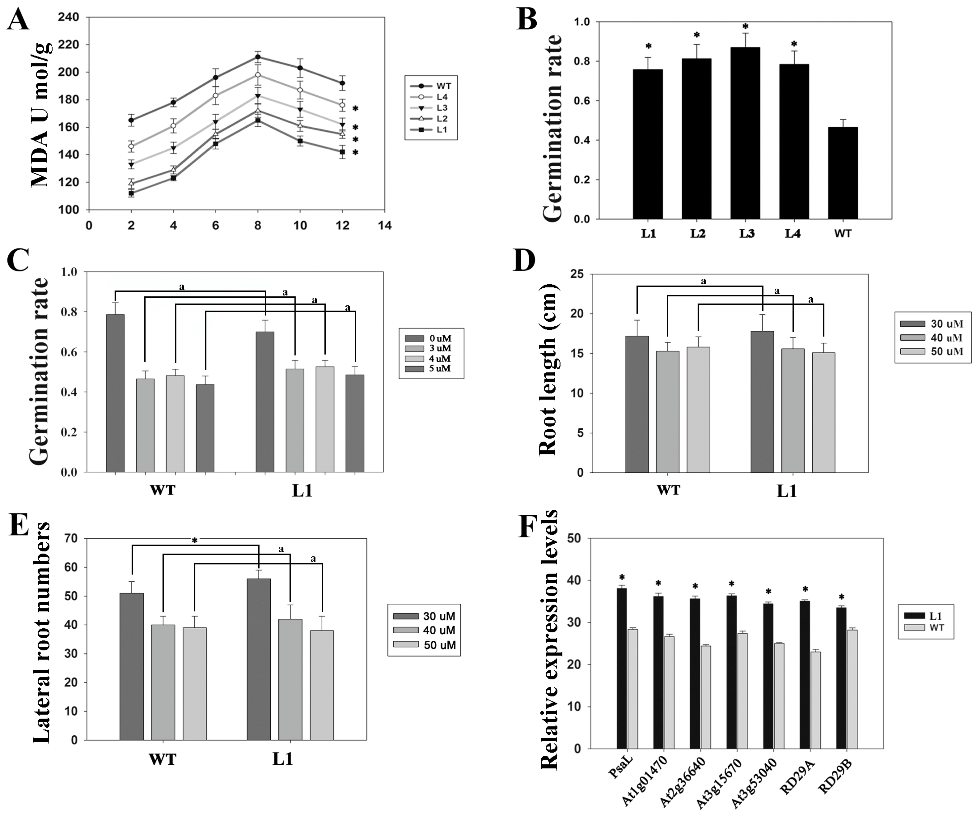 Biology 13 00552 g002