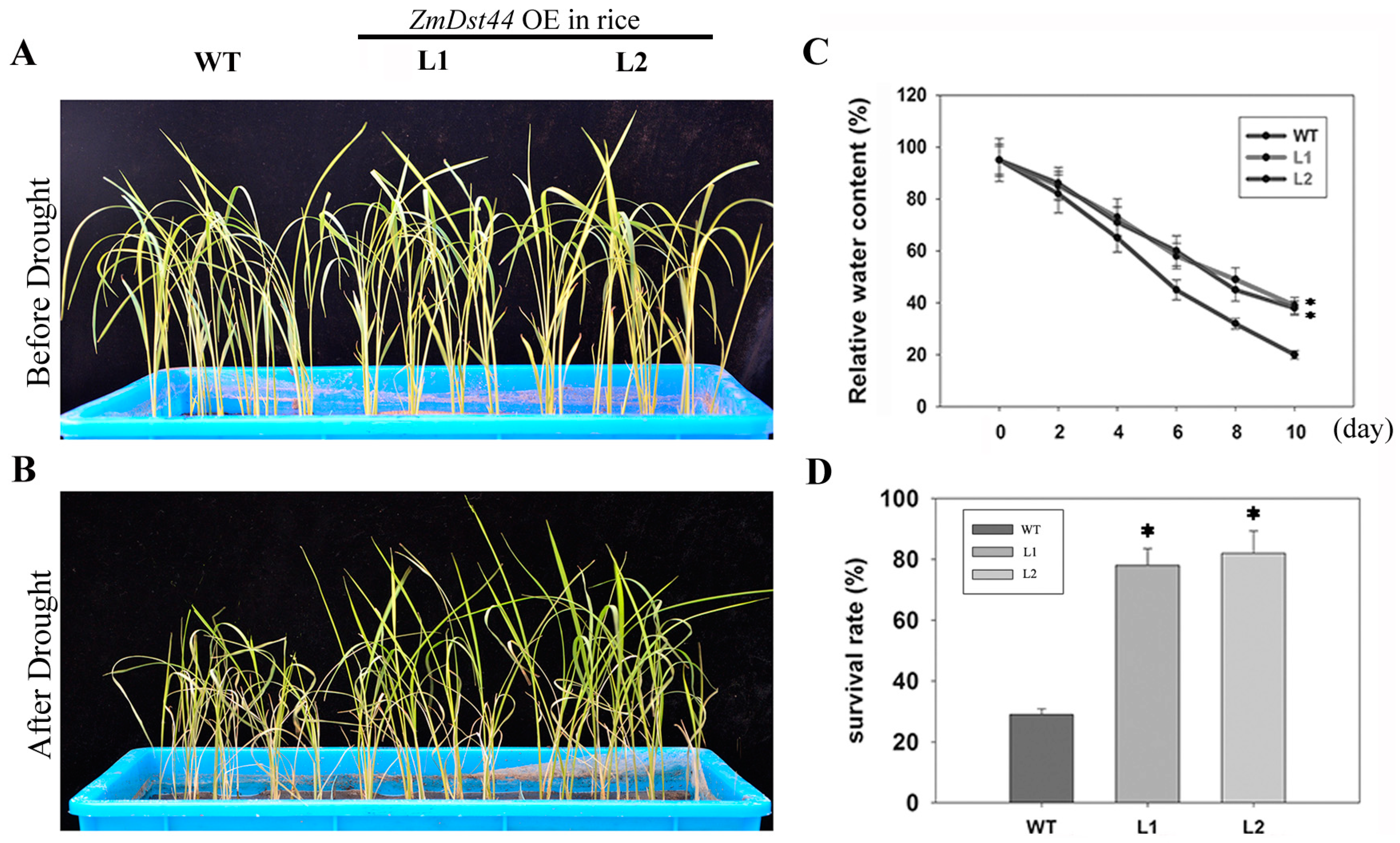 Biology 13 00552 g003