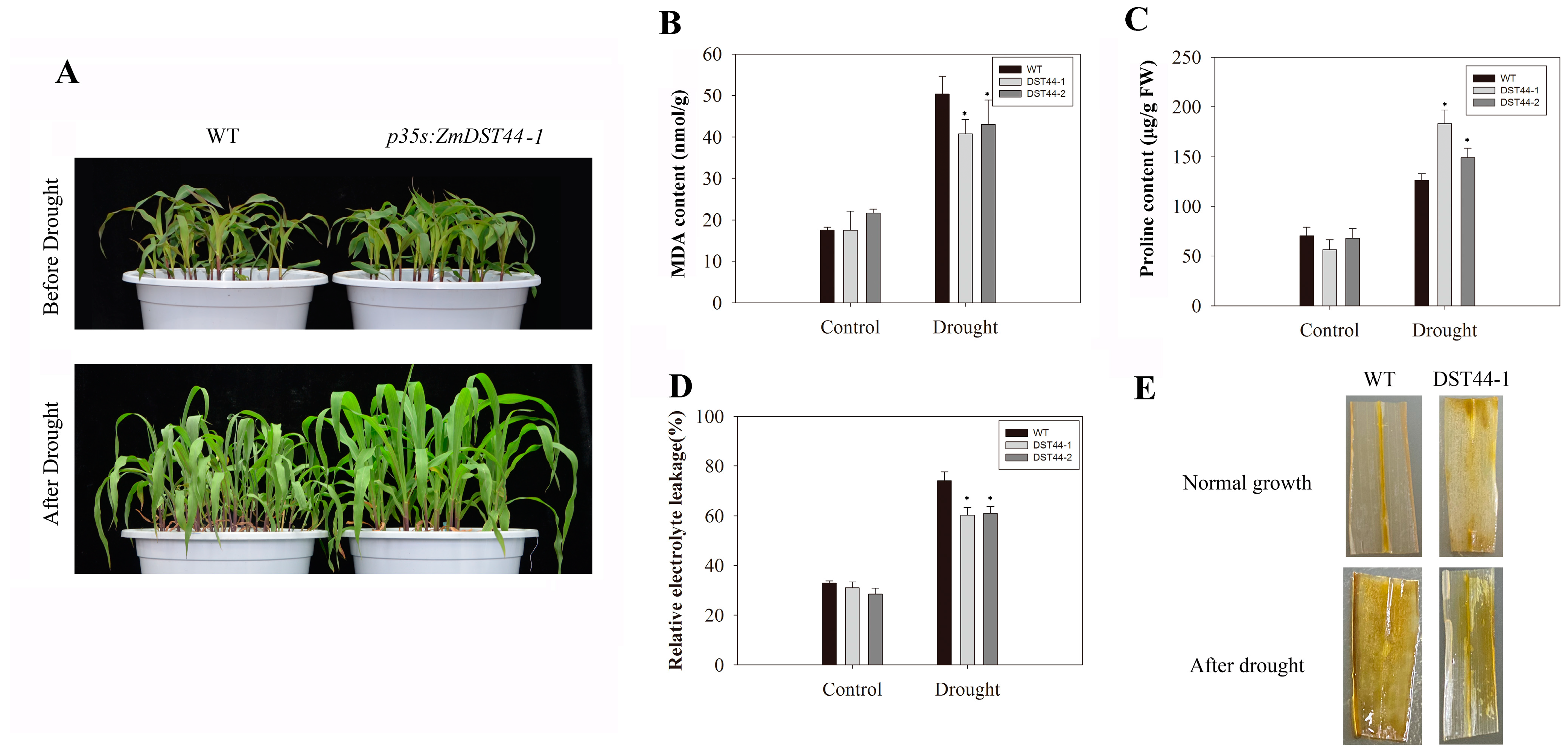 Biology 13 00552 g004