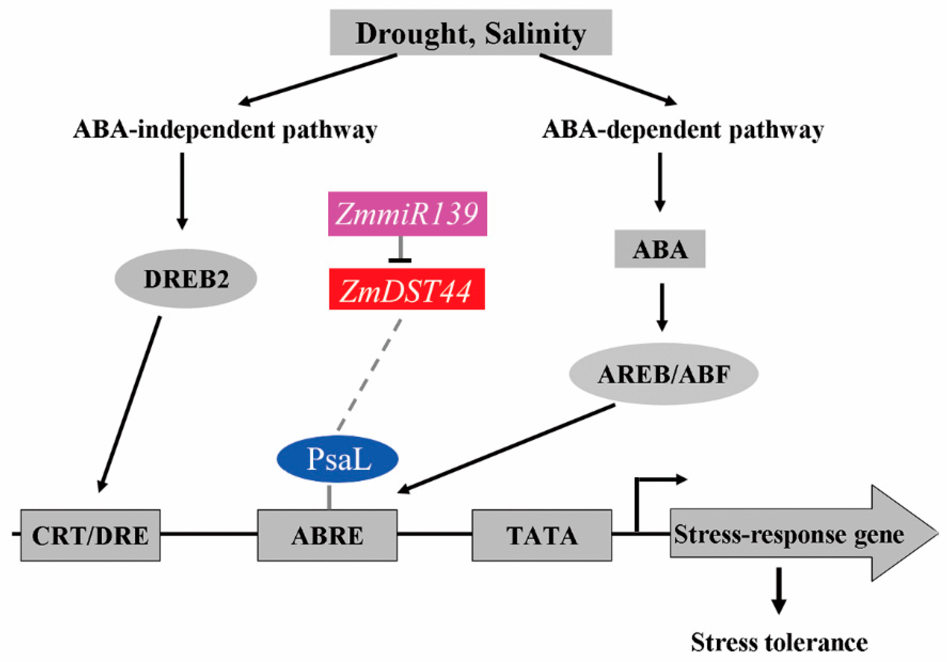 Biology 13 00552 g005