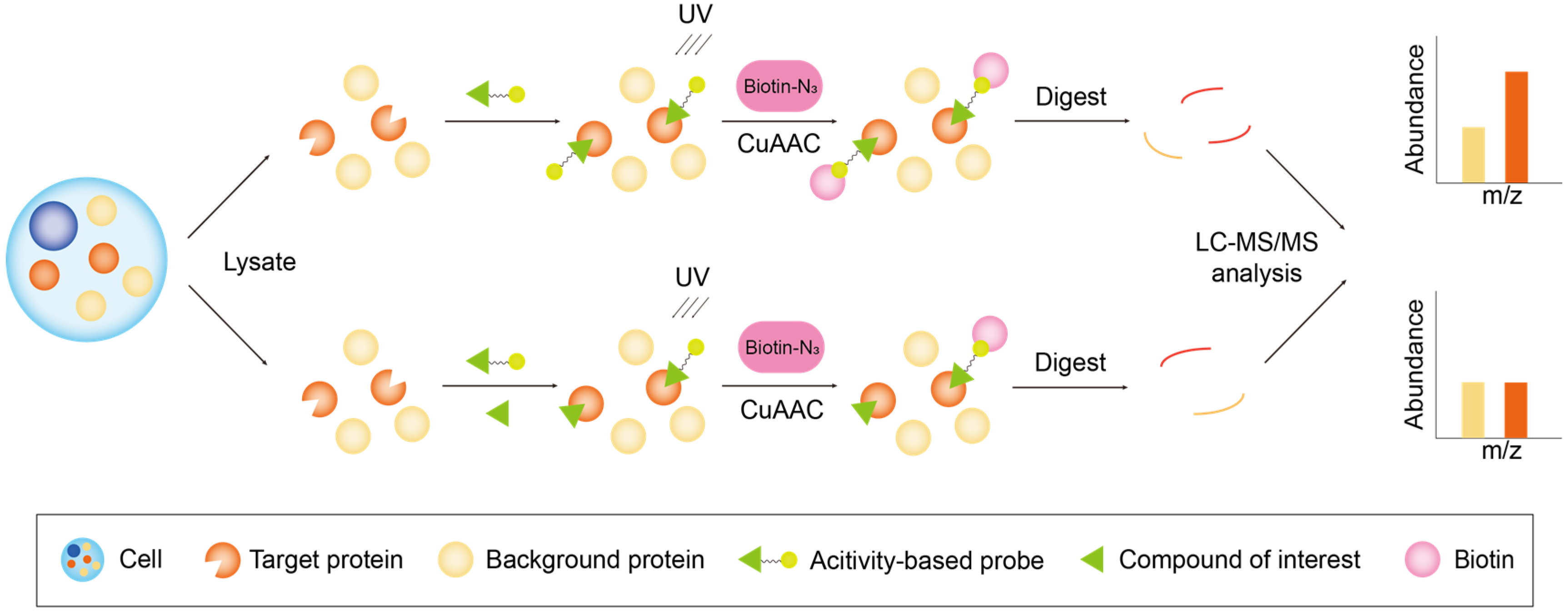 Biology 13 00555 g002 Biology 13 00555 g002