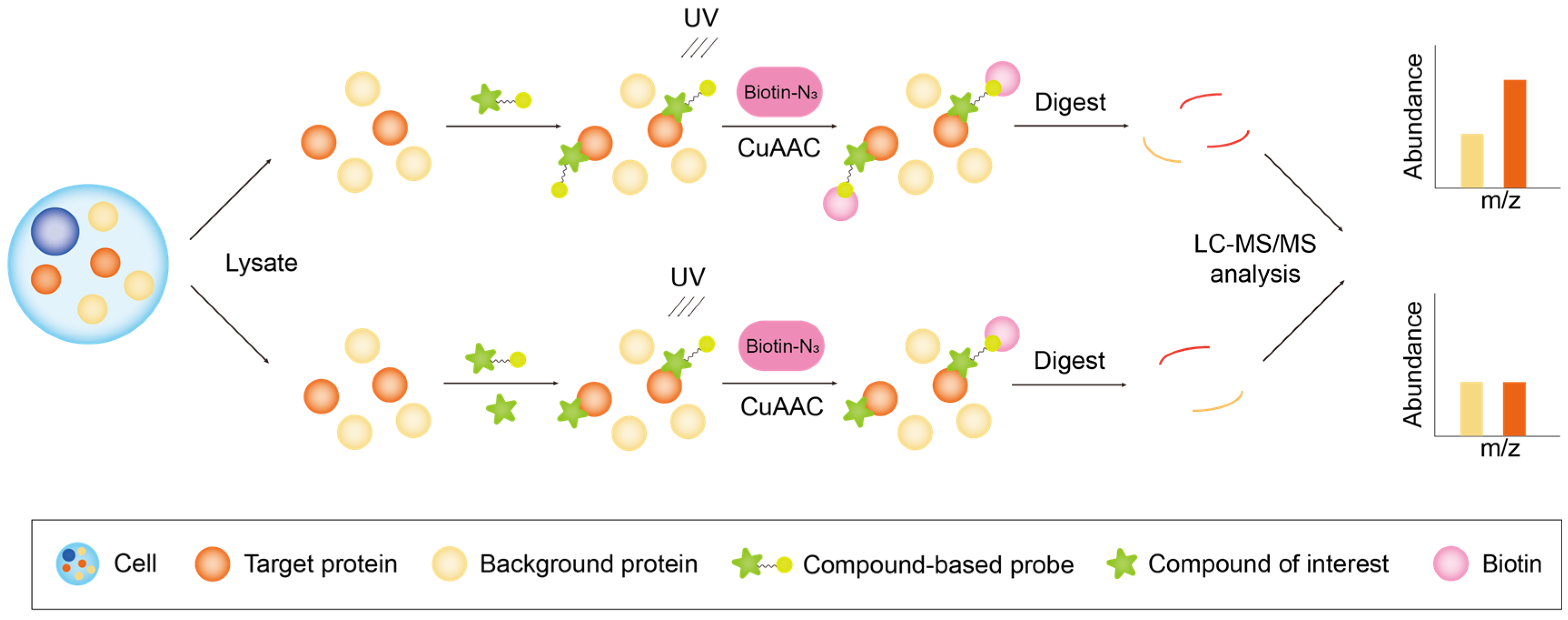 Biology 13 00555 g003 Biology 13 00555 g003
