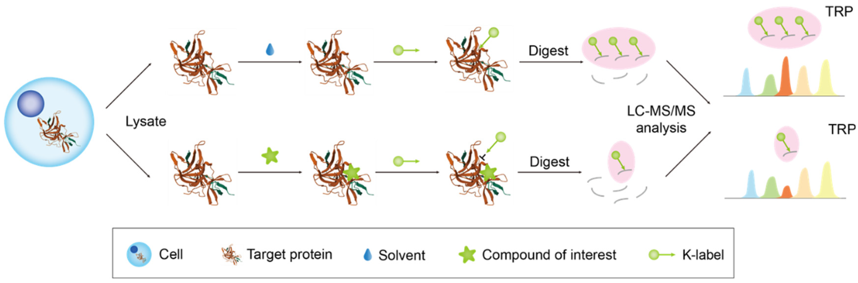 Biology 13 00555 g005 Biology 13 00555 g005