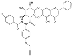 Biology 13 00555 i013