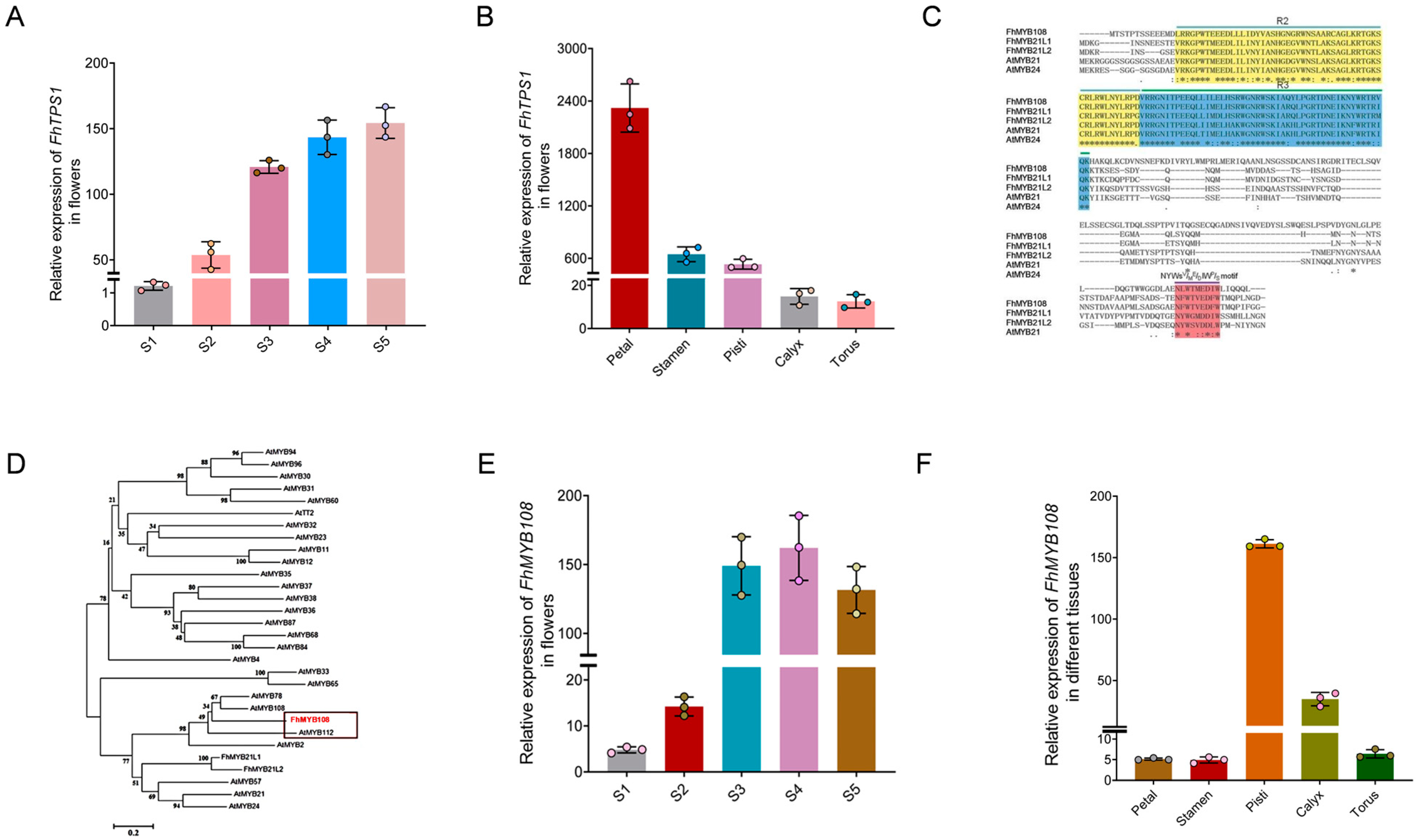 Biology 13 00556 g002