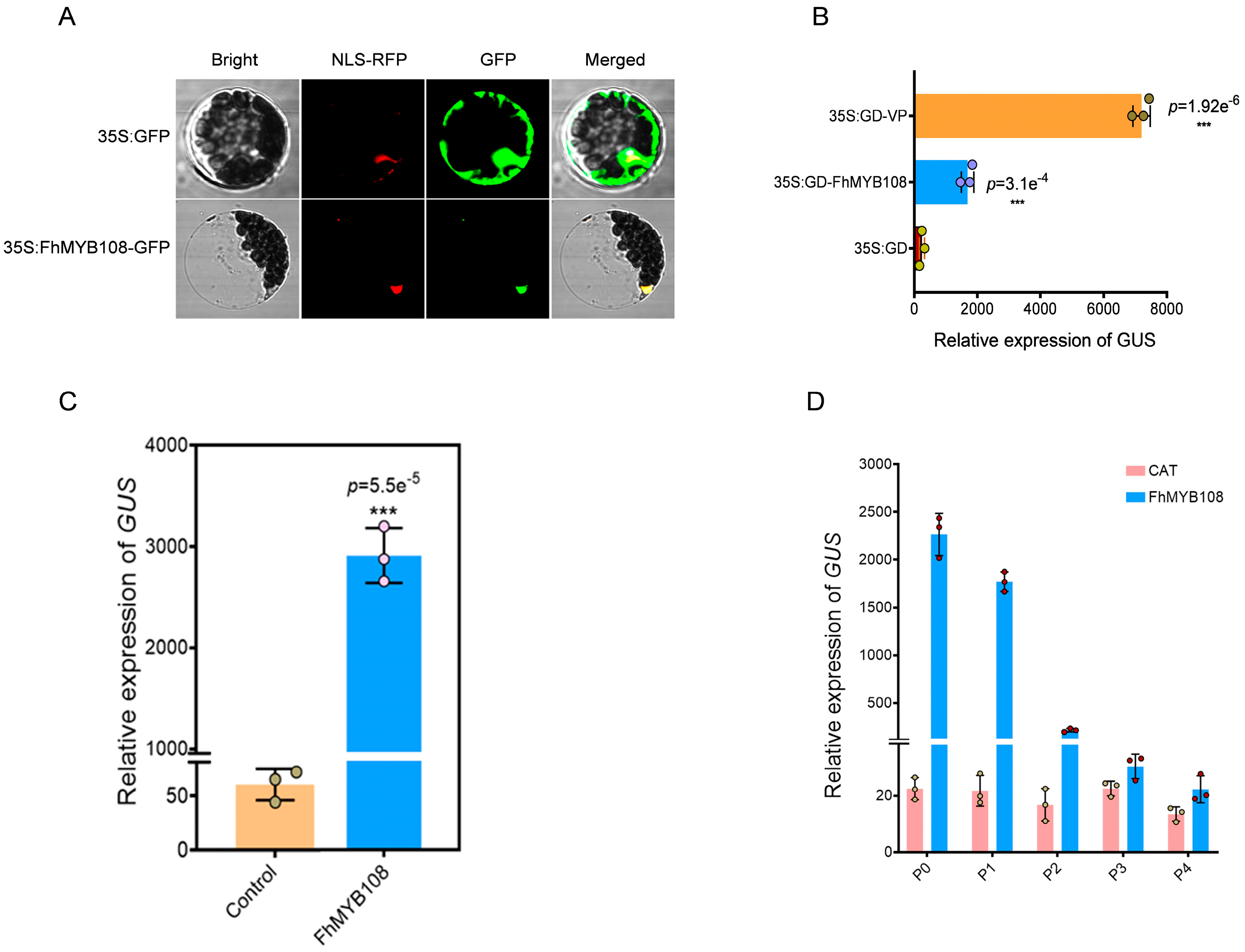 Biology 13 00556 g003