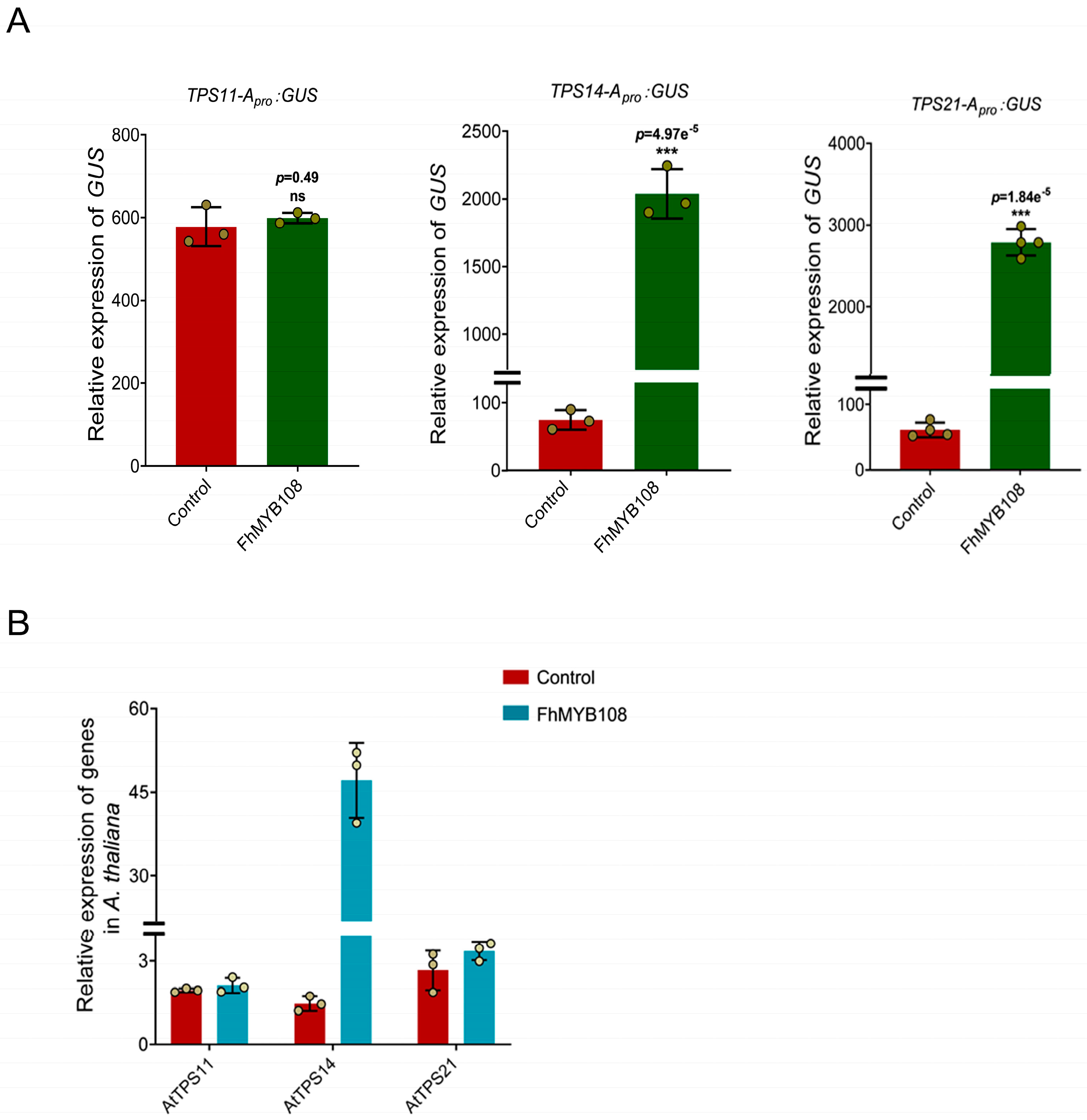 Biology 13 00556 g004