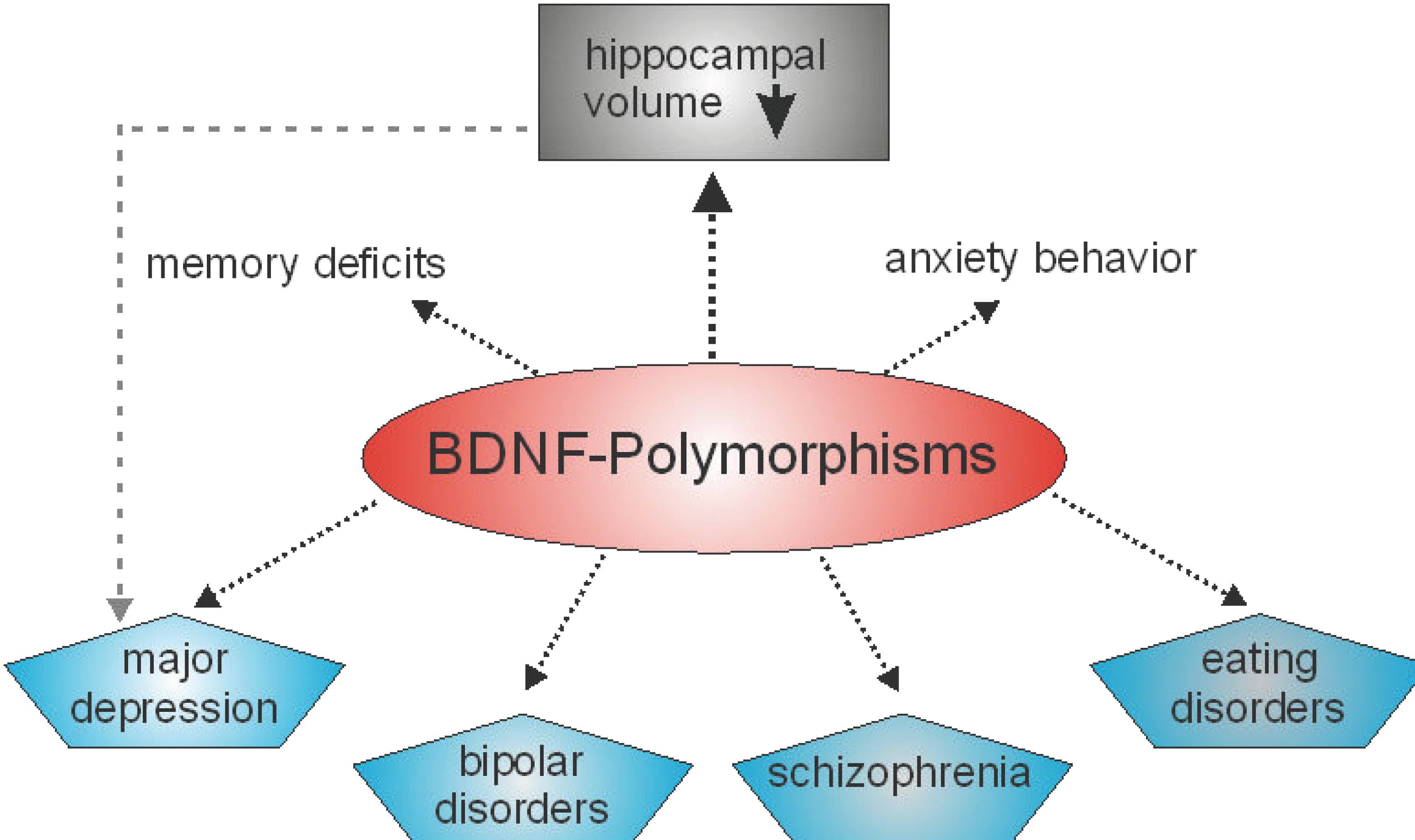 Biology 13 00558 g001