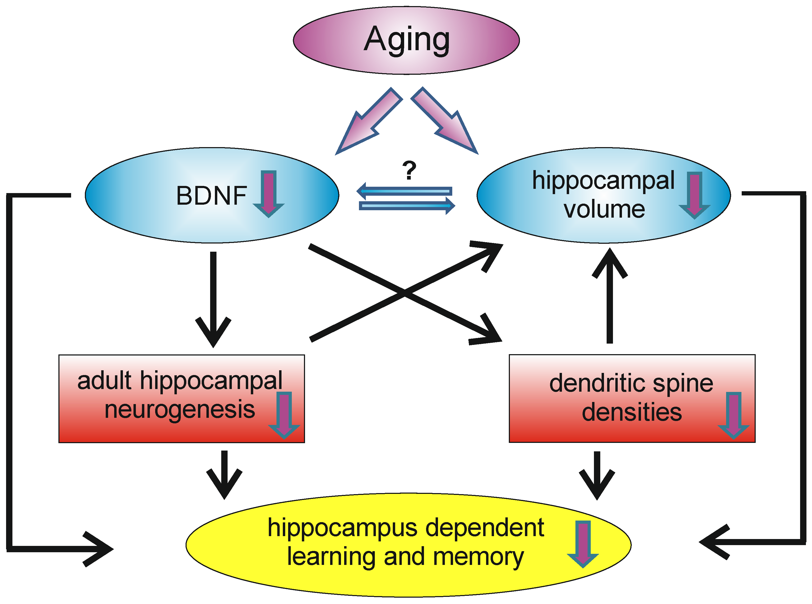 Biology 13 00558 g003