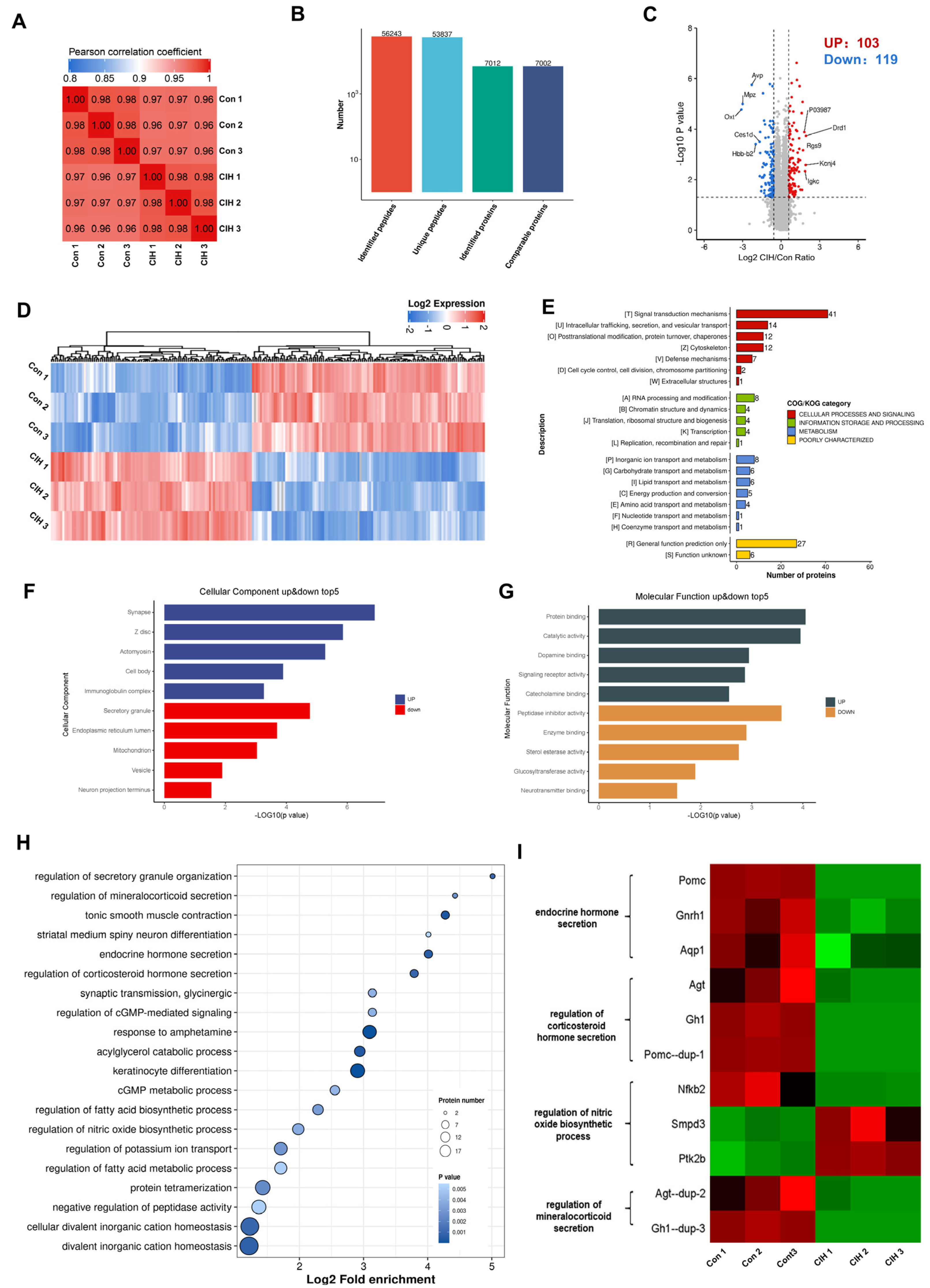 Biology 13 00559 g001