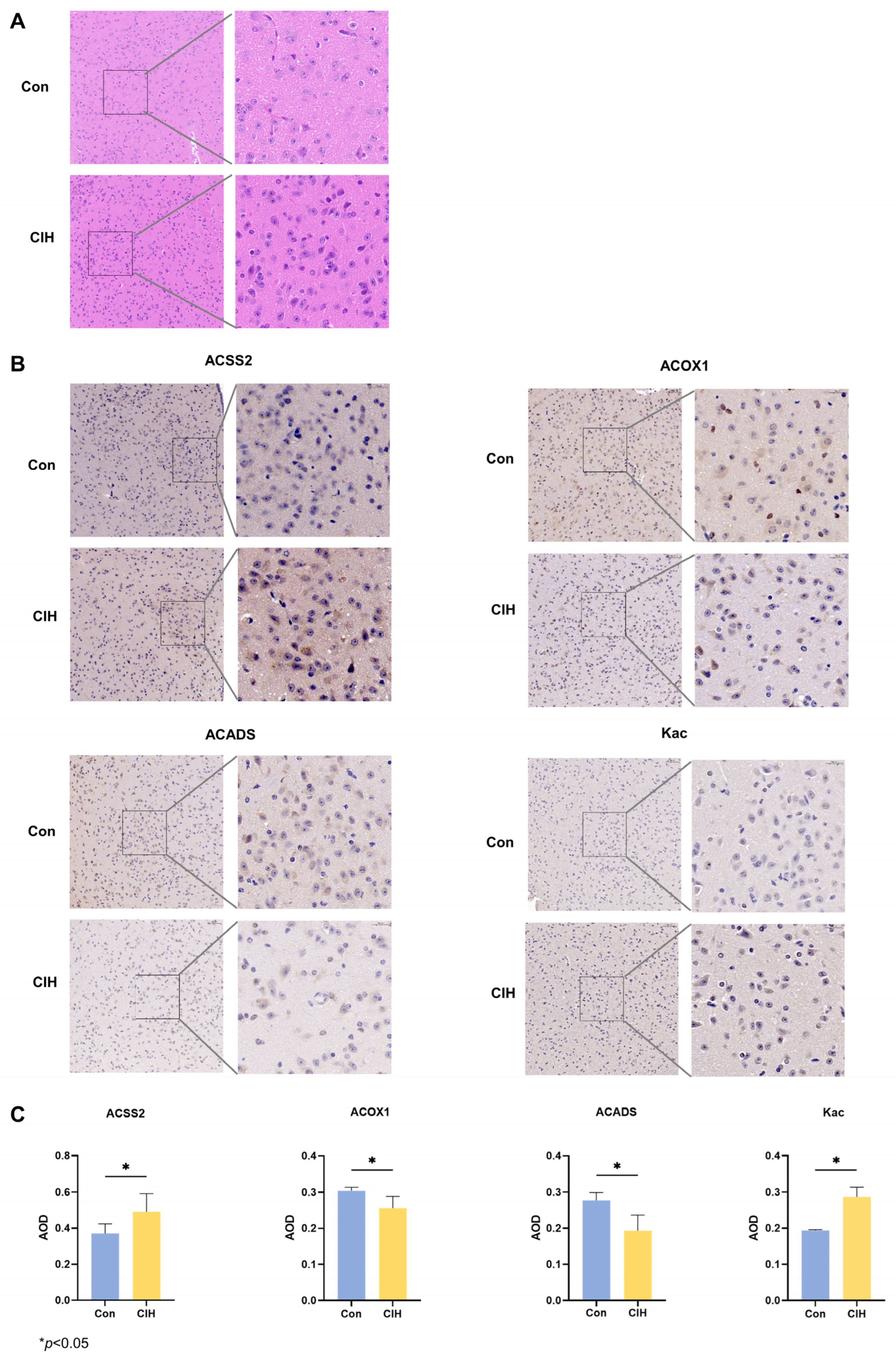 Biology 13 00559 g002