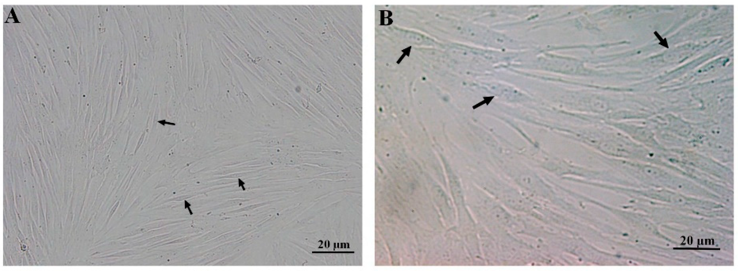 Biology 13 00560 g001