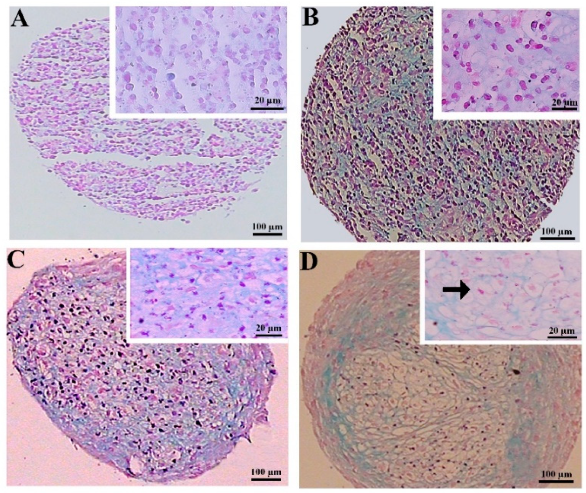 Biology 13 00560 g005