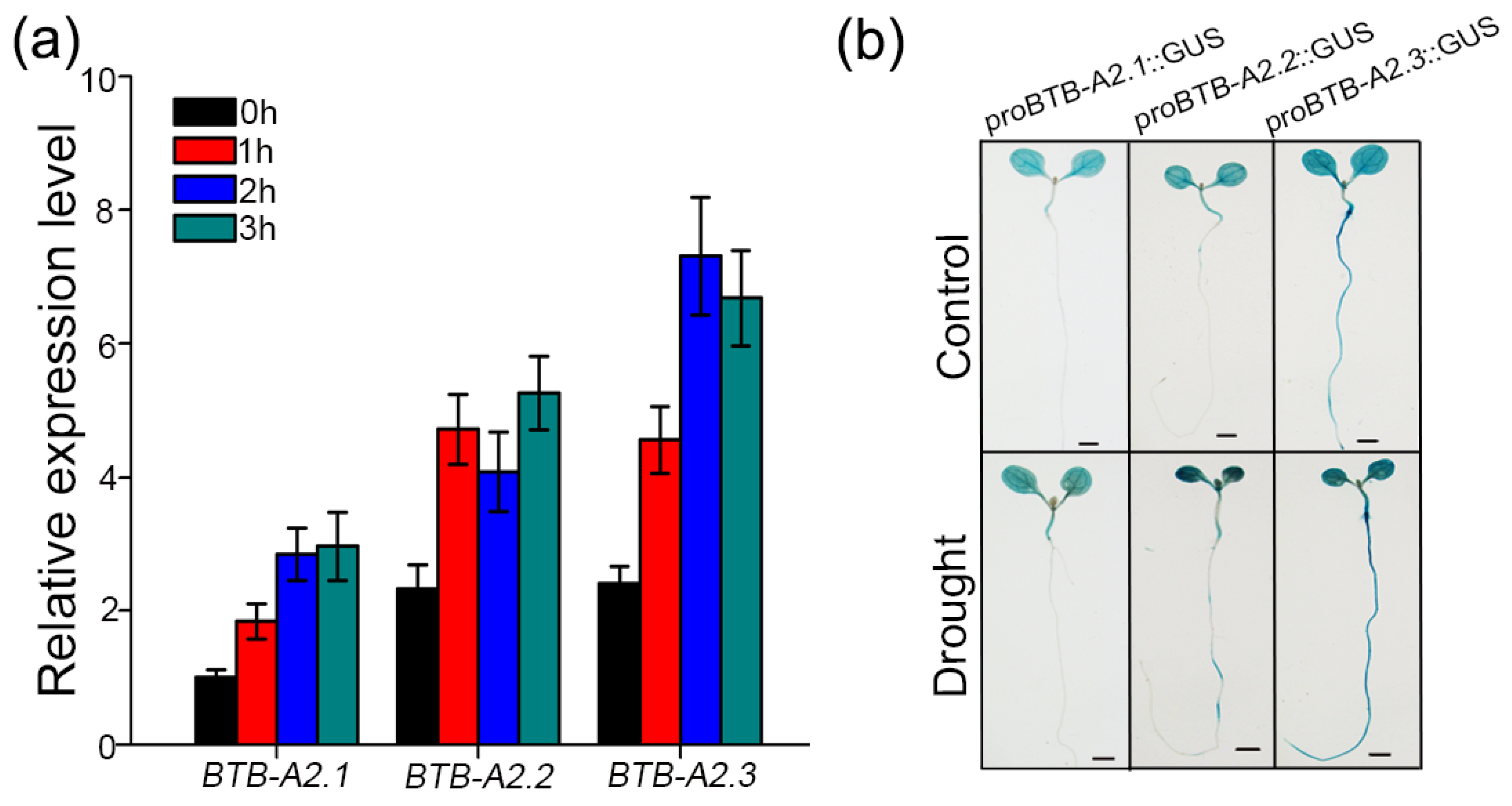 Biology 13 00561 g001