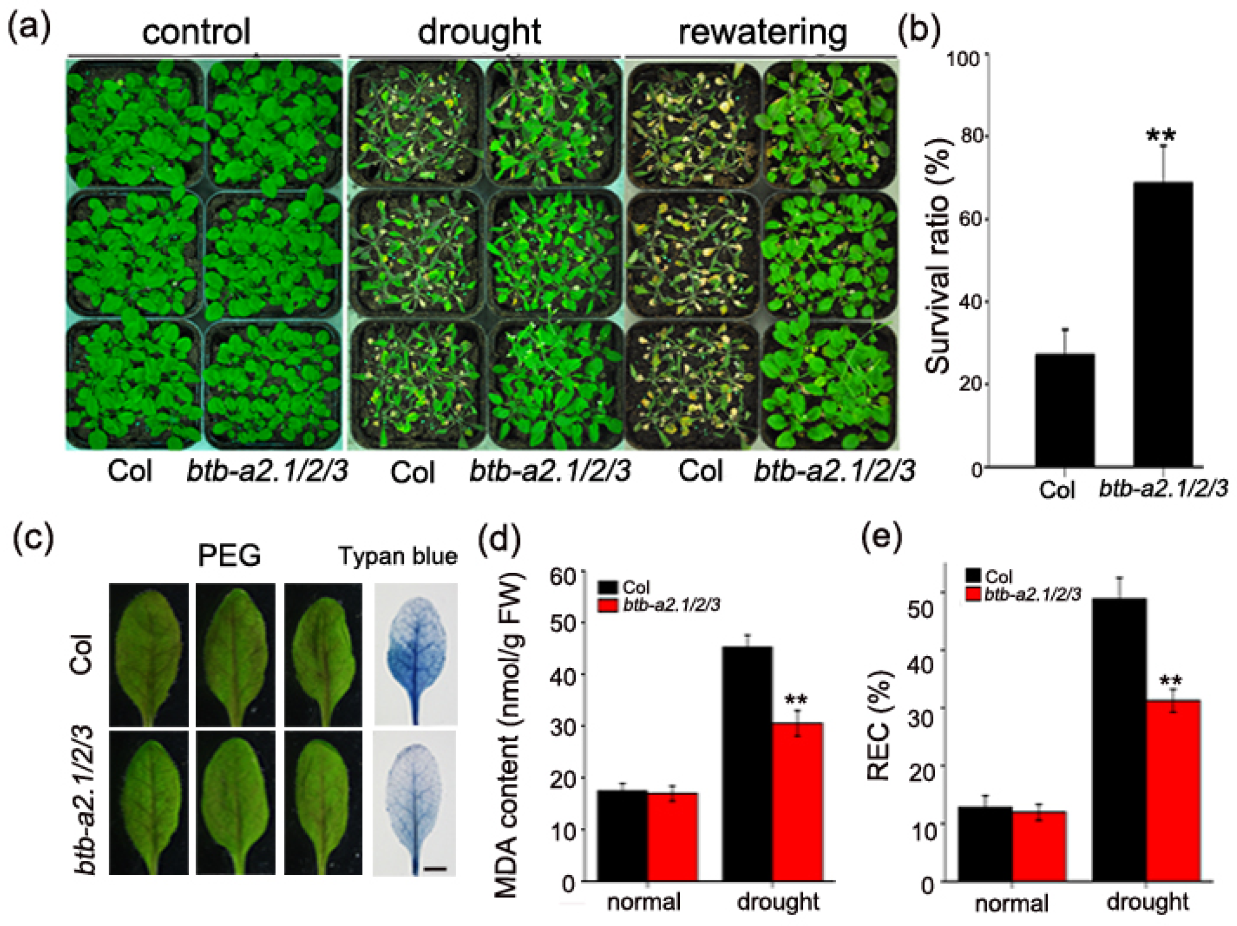Biology 13 00561 g002