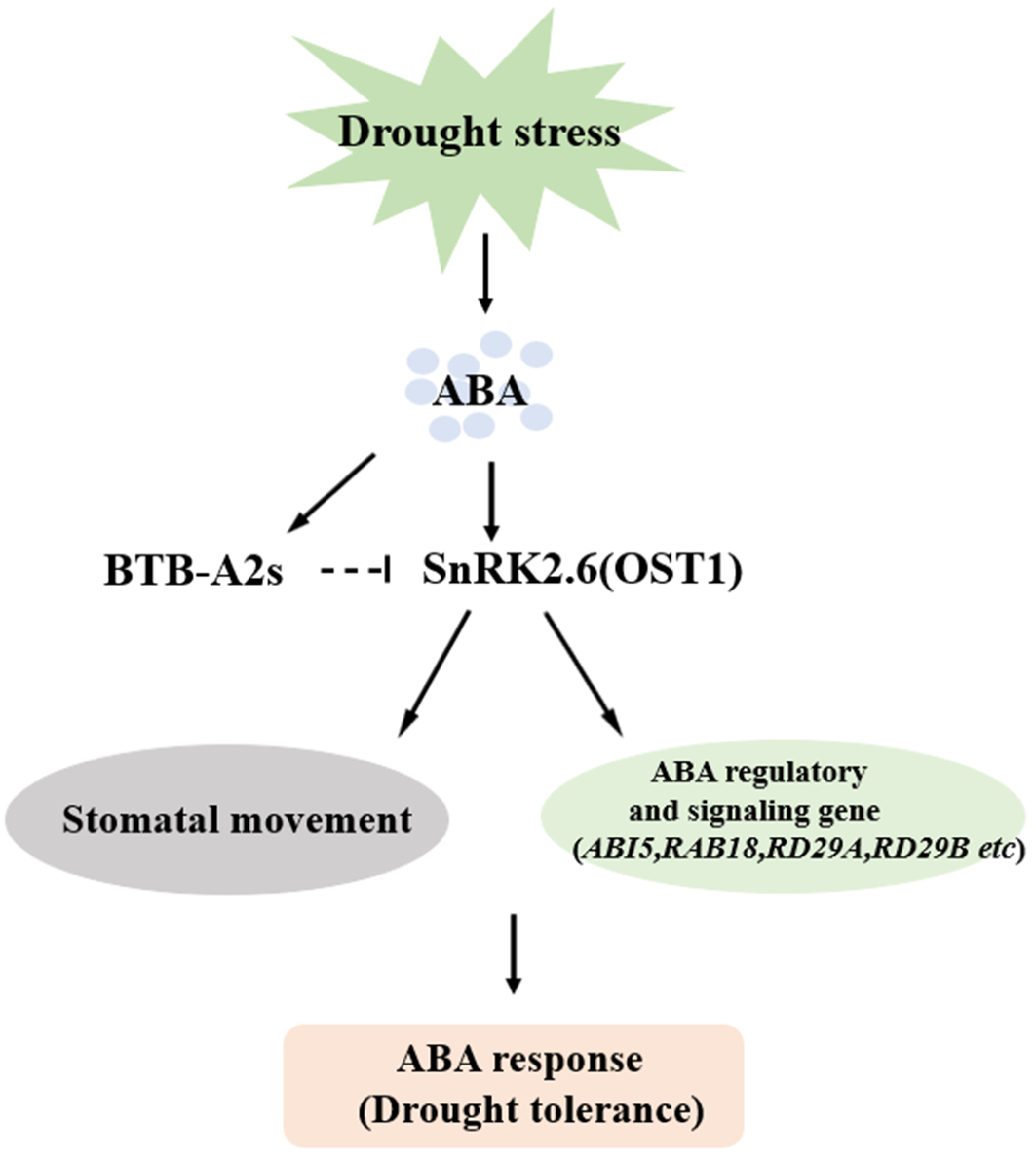 Biology 13 00561 g007